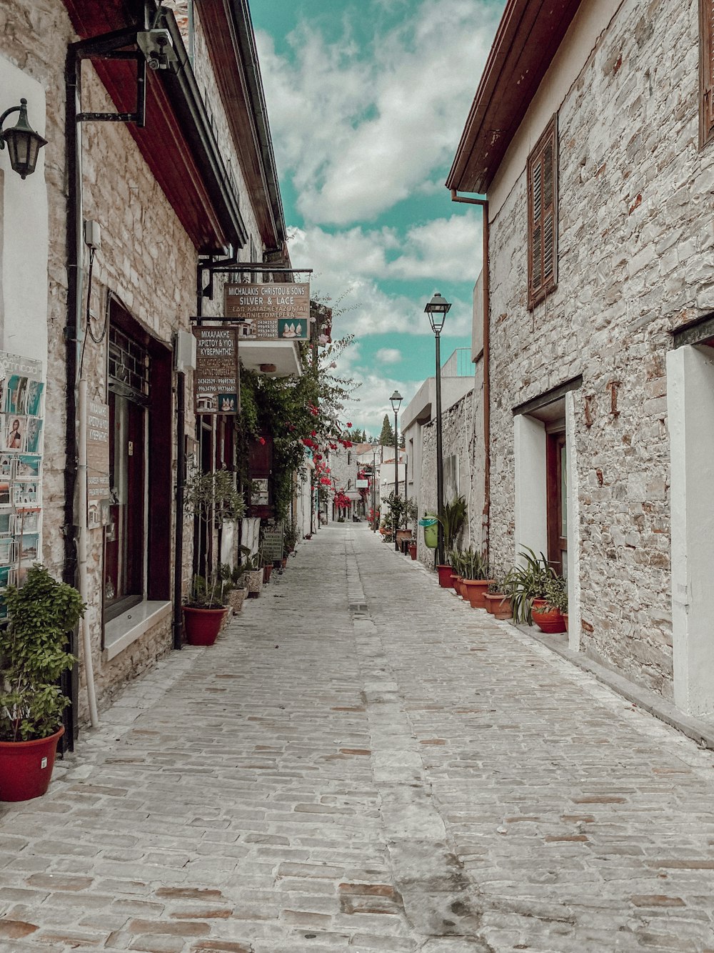 an empty street with potted plants on either side