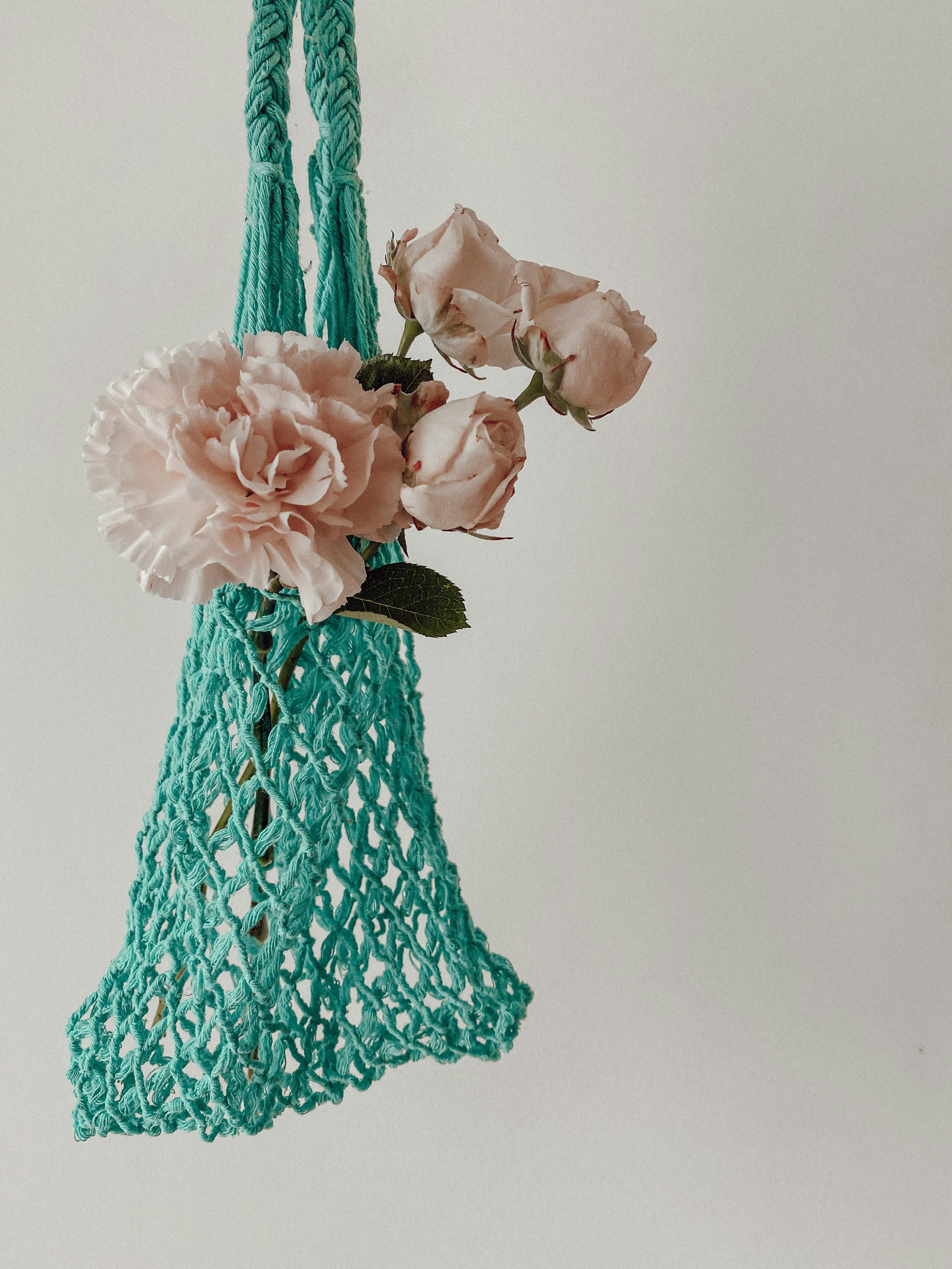 Photo by olyavelychenko