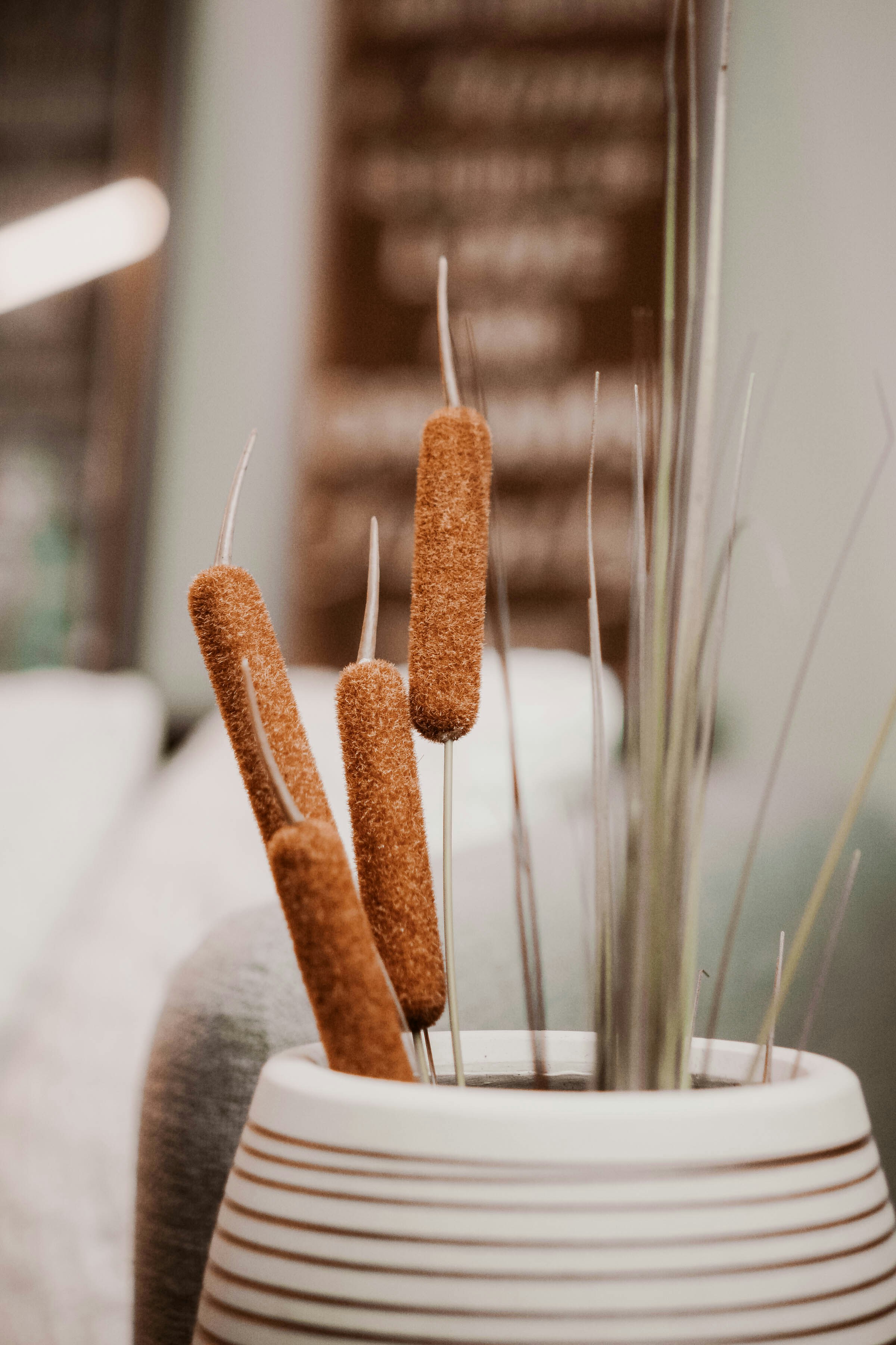 a close up of a vase with sticks sticking out of it