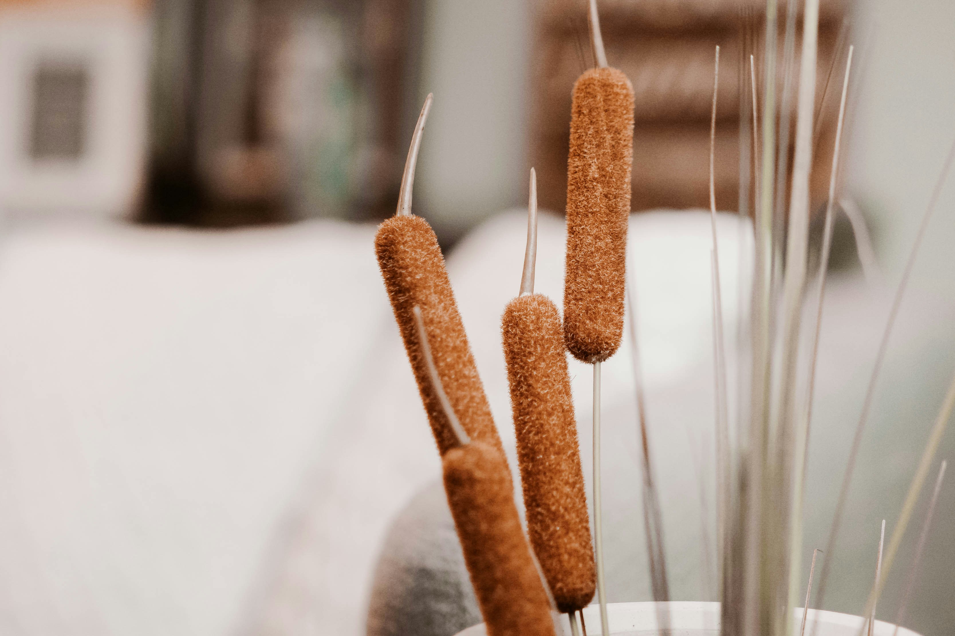 a group of sticks sticking out of a vase
