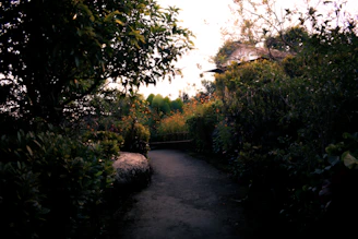 A serene garden path bathed in soft morning light, symbolizing spiritual growth.