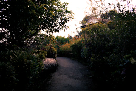 A serene garden path bathed in soft morning light, symbolizing spiritual growth.