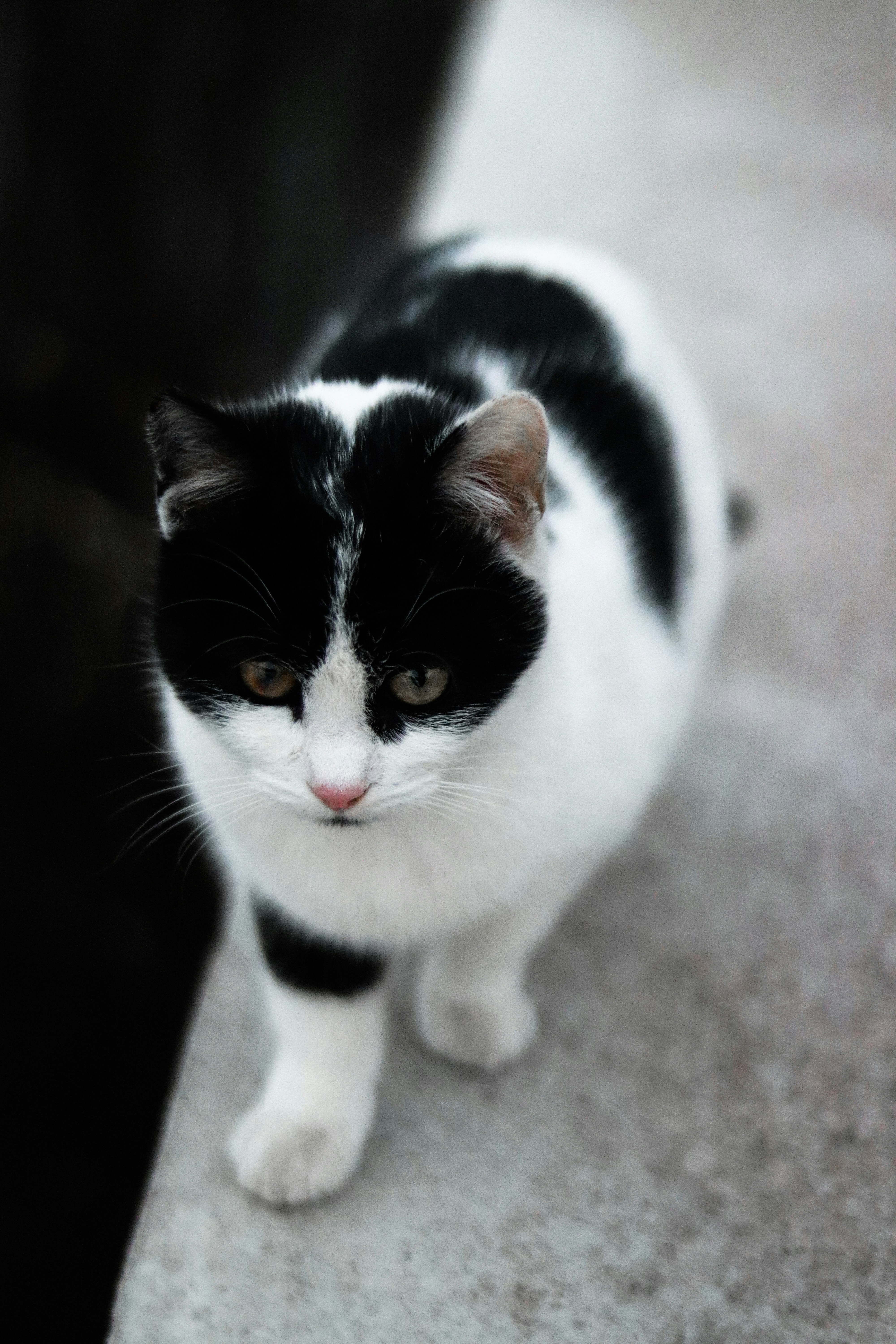 Photo by krisztian21