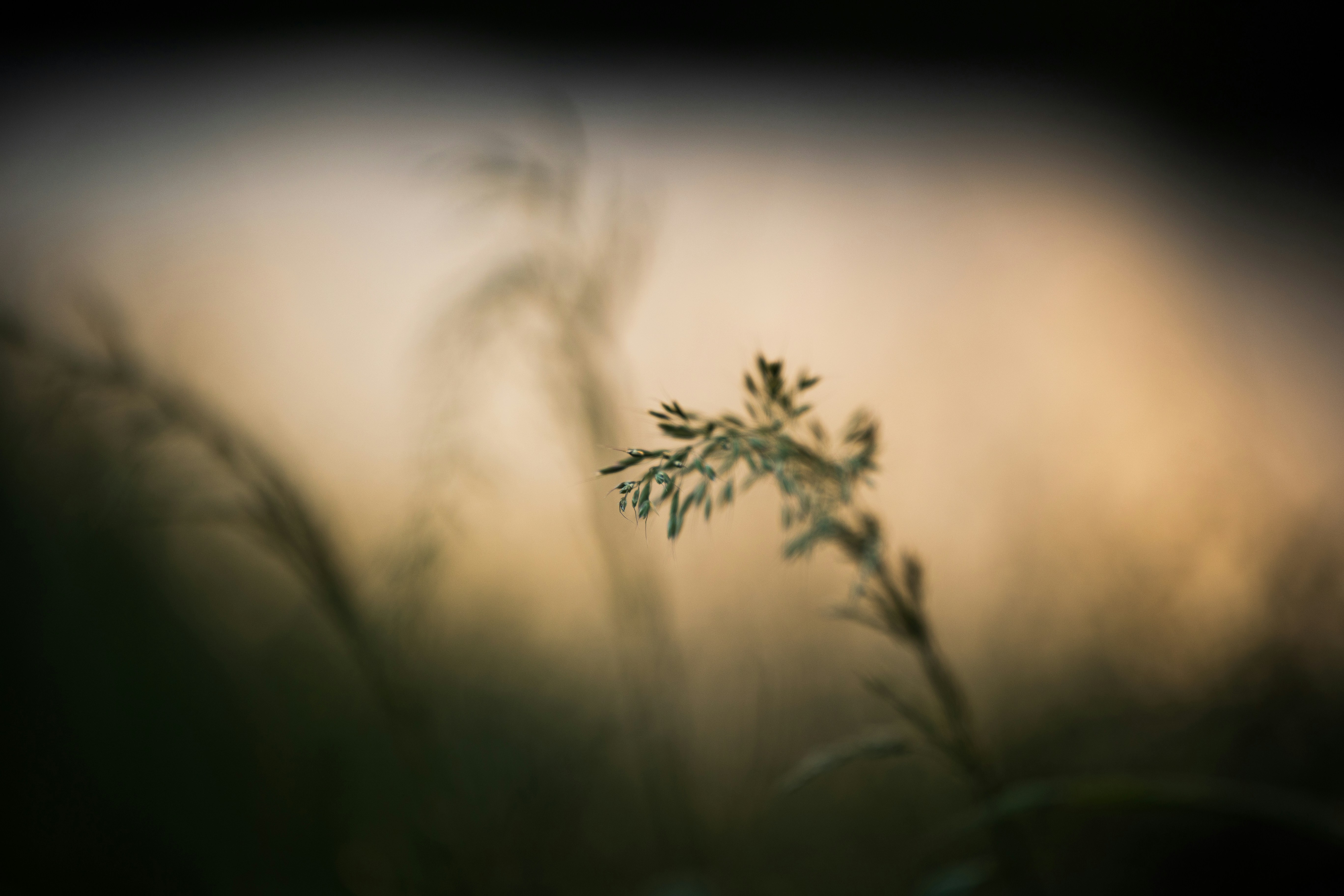 Photo by fightagainstthedyingofthelight