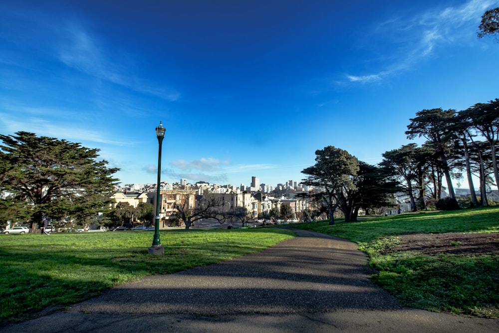 a path in a park with a view of a castle in the background