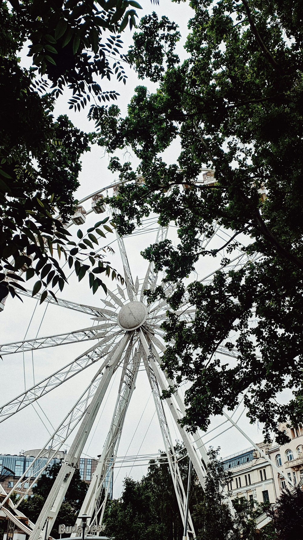 a ferris wheel is seen through the trees