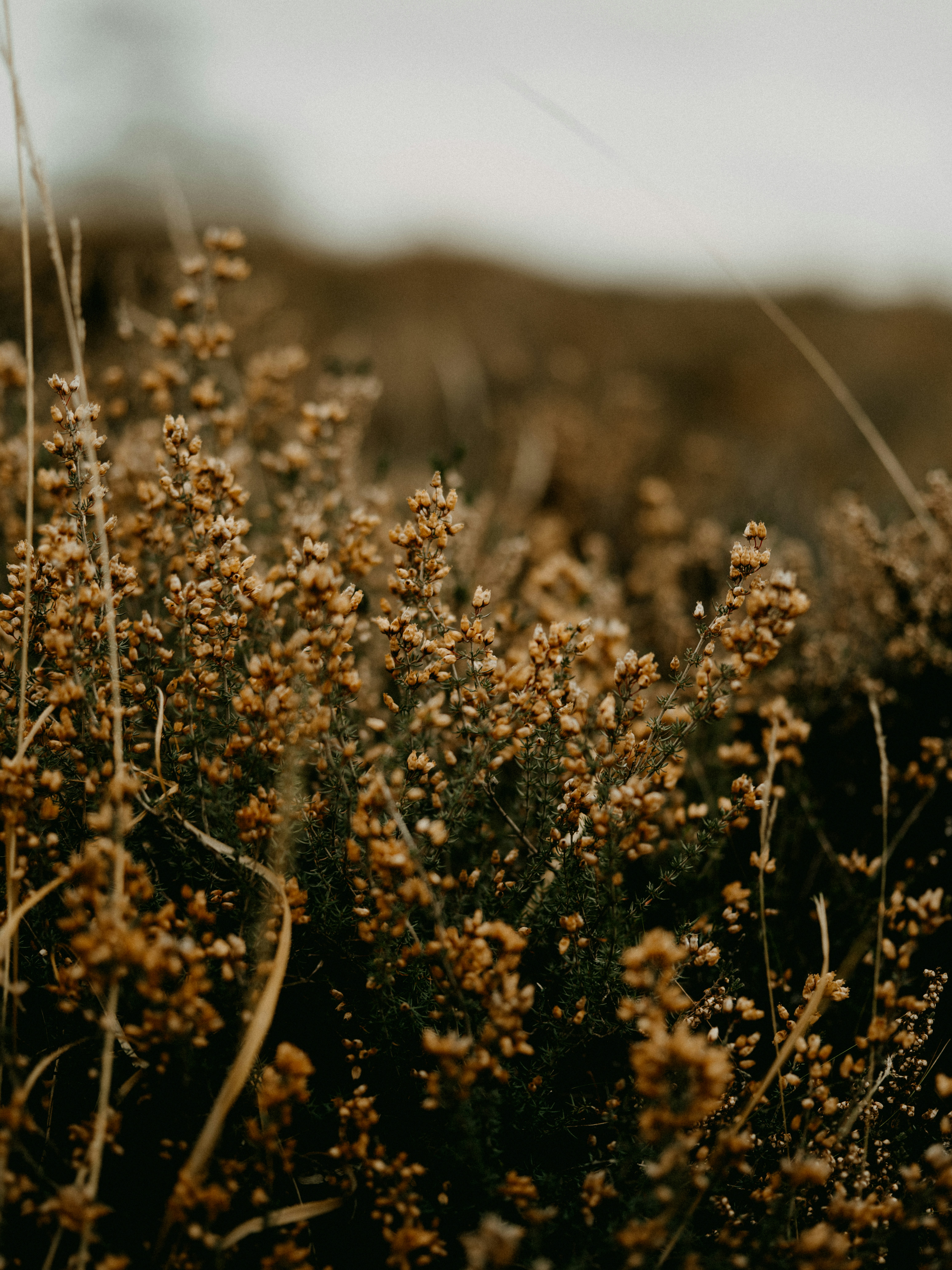 Photo by anniespratt