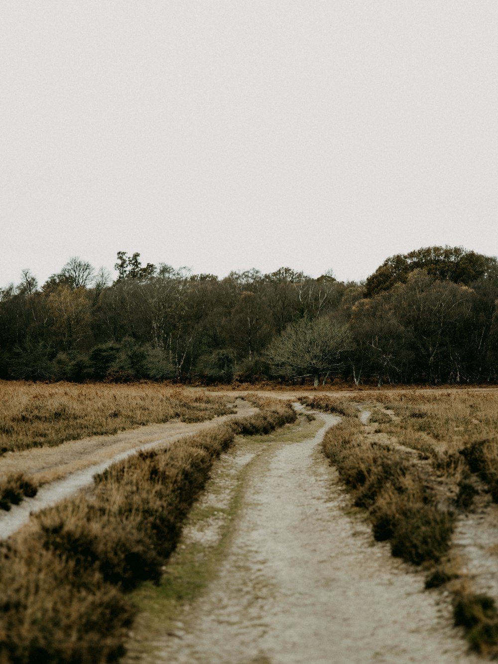 a dirt road in the middle of a field