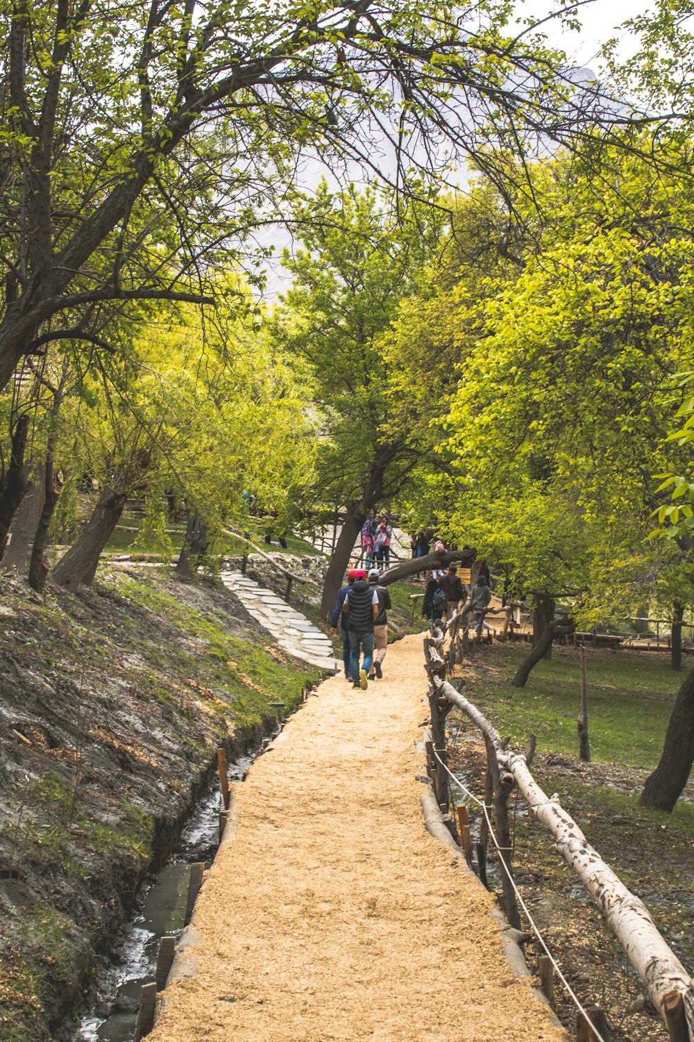 a group of people walking down a dirt path