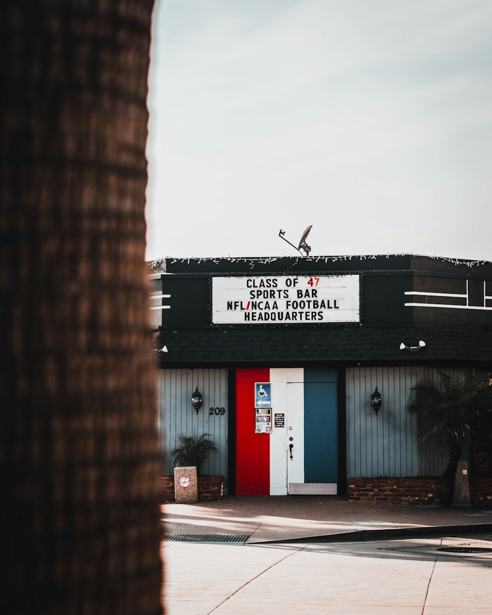 a building with a red door and a palm tree