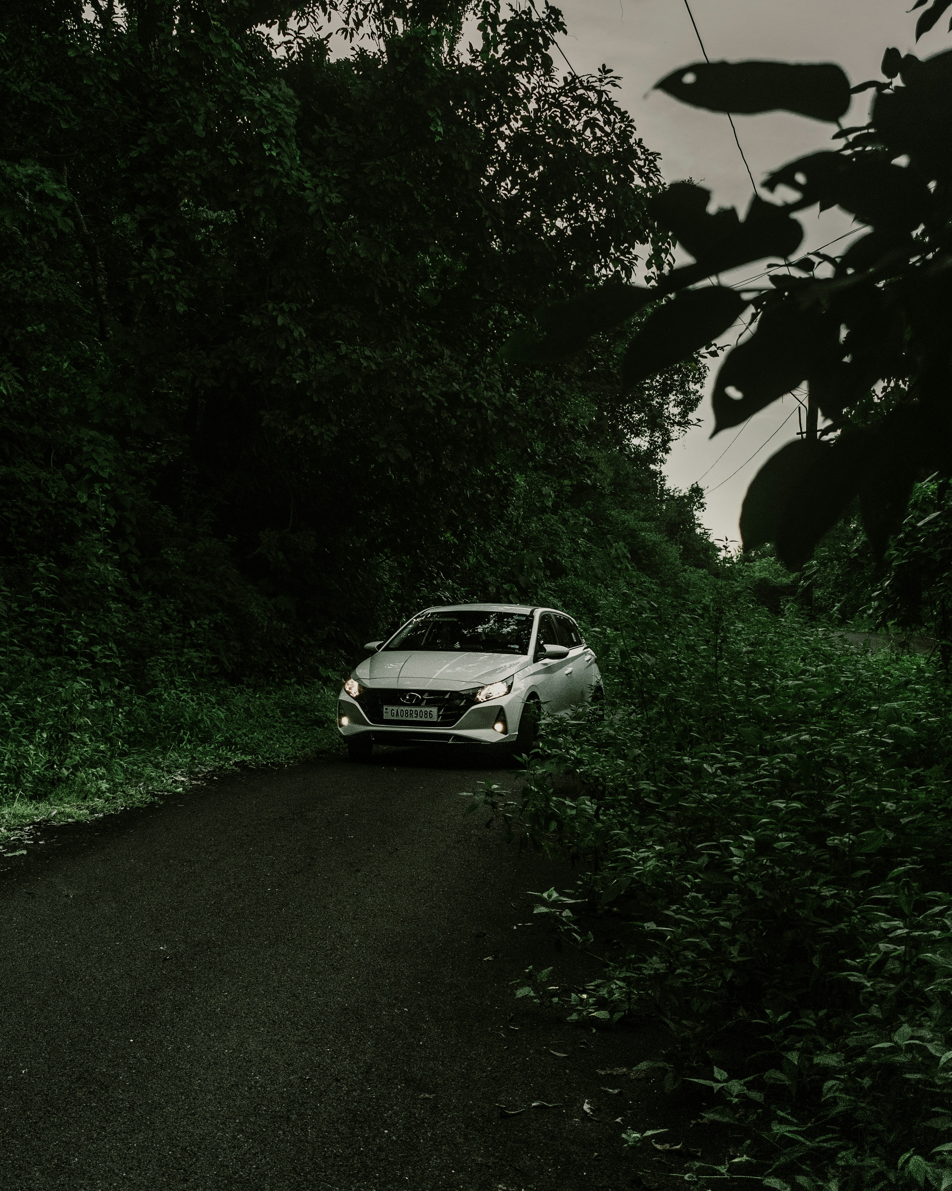 Photo by rubenstein111rebello