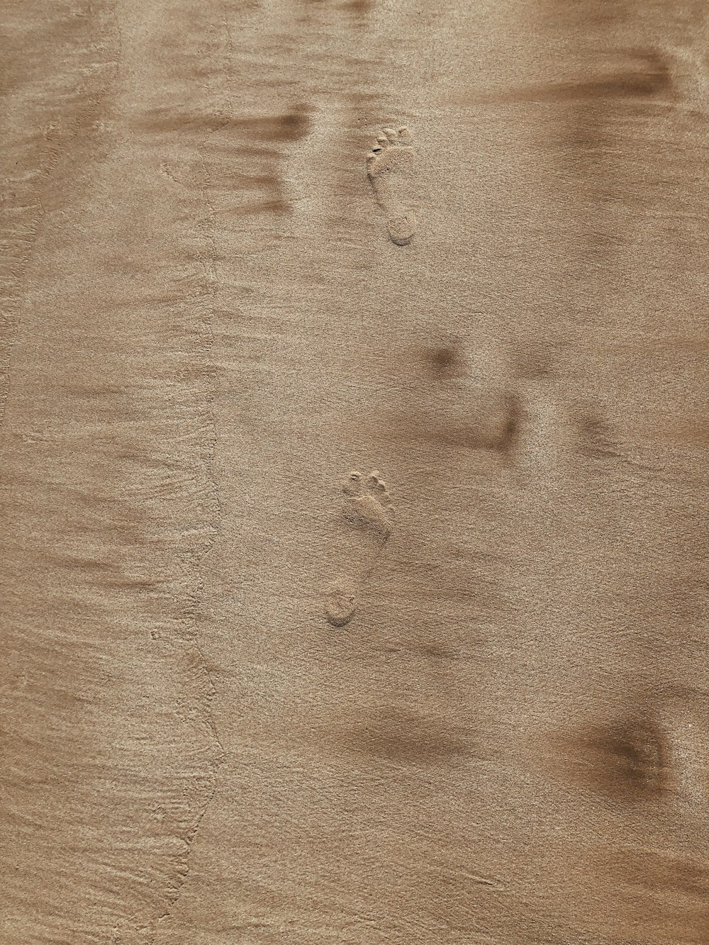 a close up of a piece of wood with footprints on it