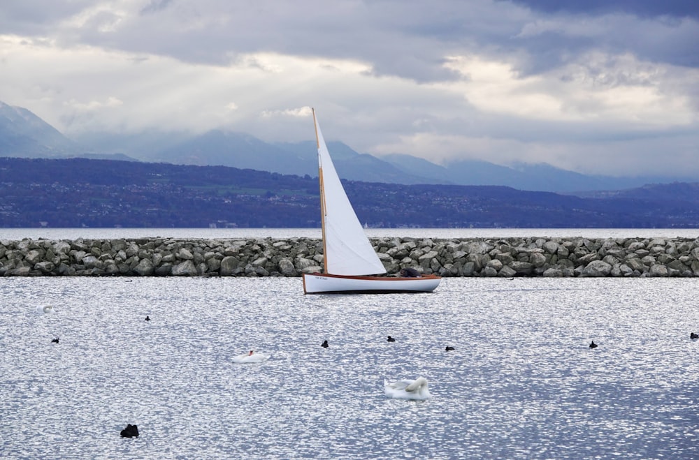 a sailboat floating on top of a body of water