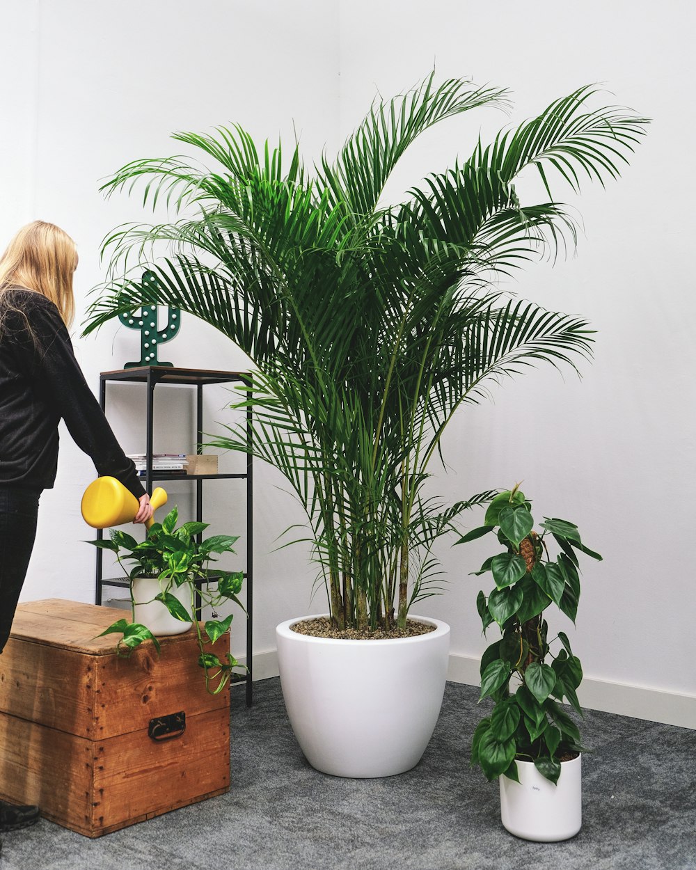 a woman watering a potted plant in a room