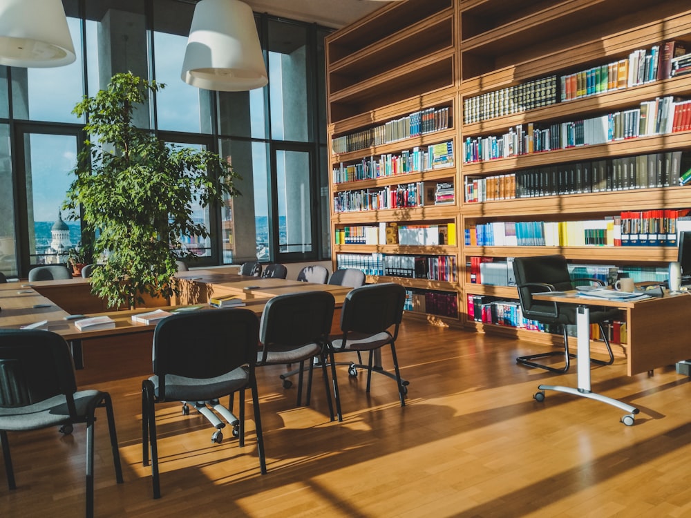 a library with a lot of books on the shelves