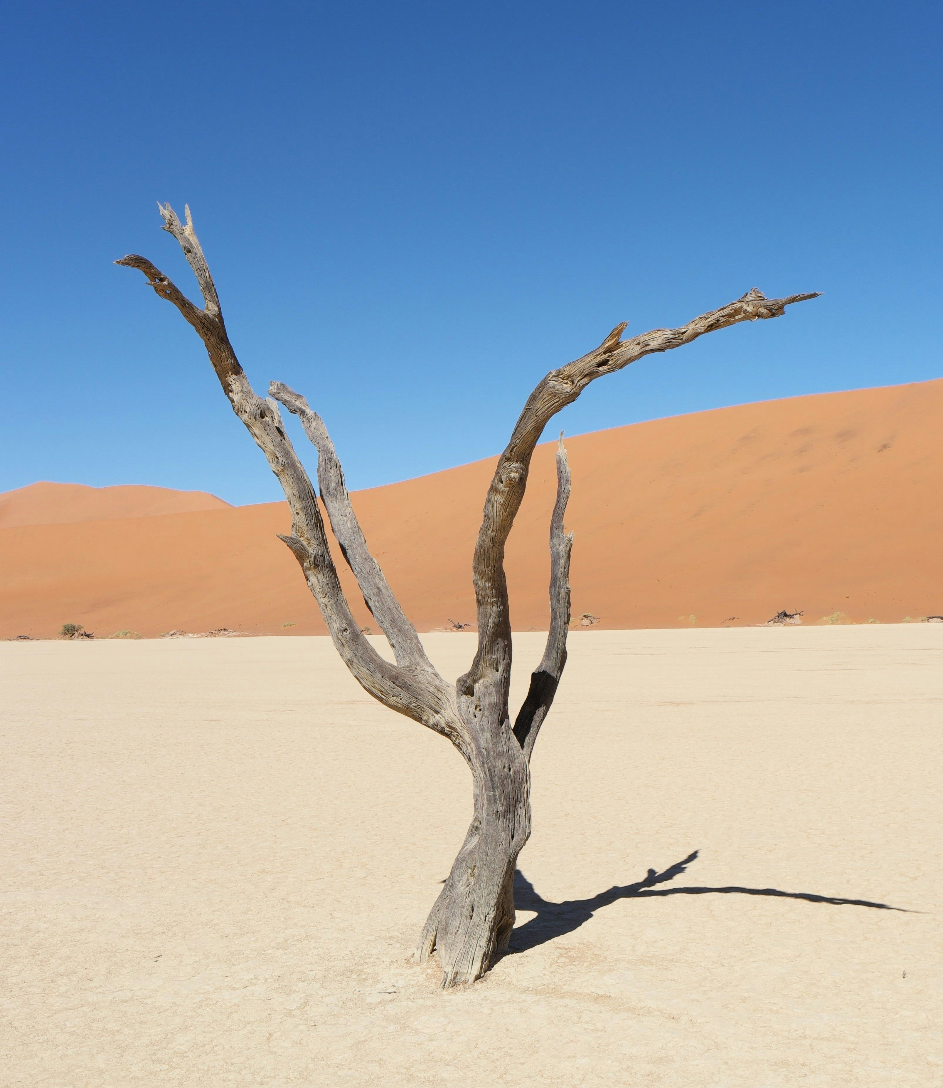 Photo by thomas_fuhrer