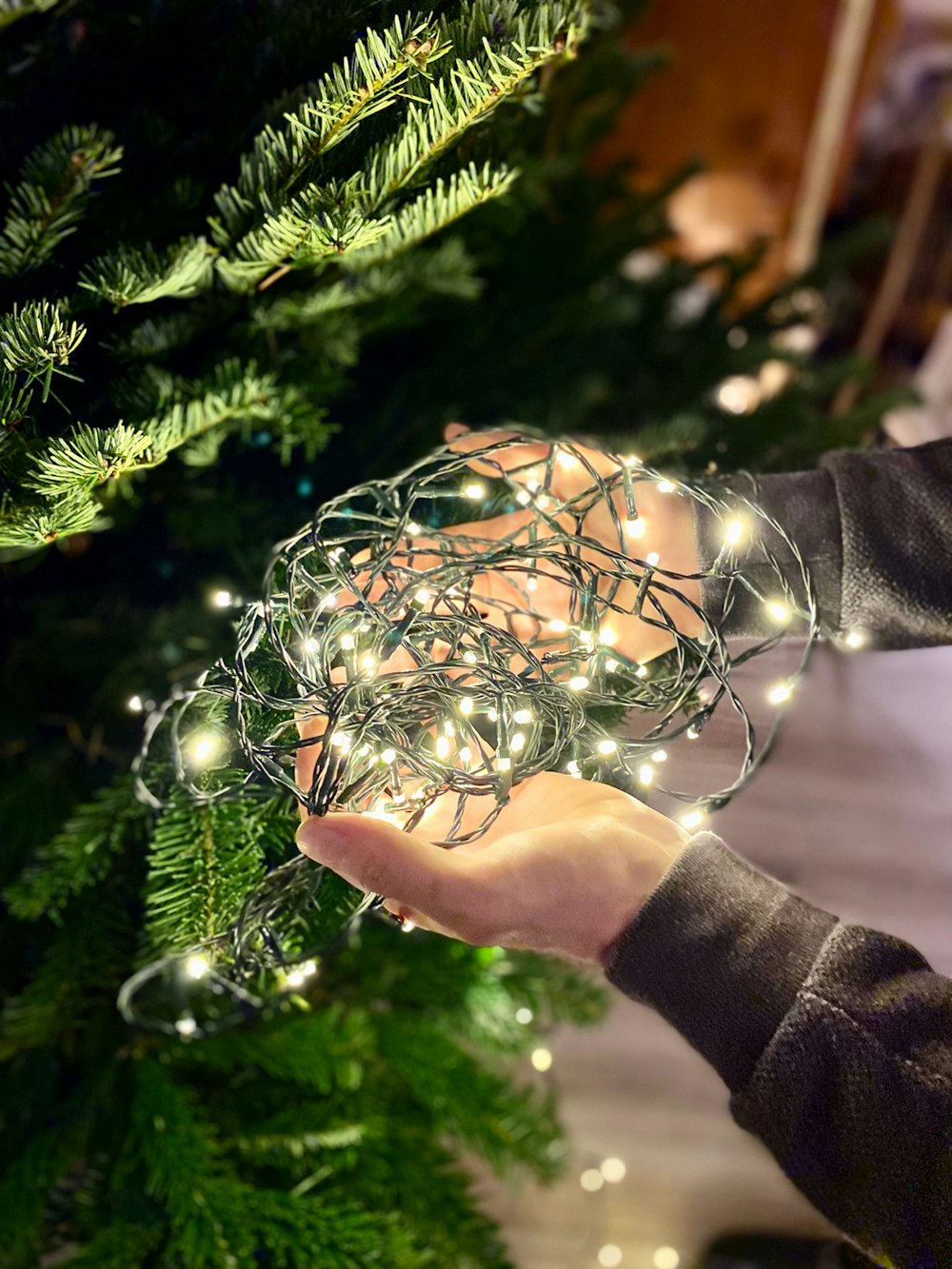 a person holding a string of lights in front of a christmas tree