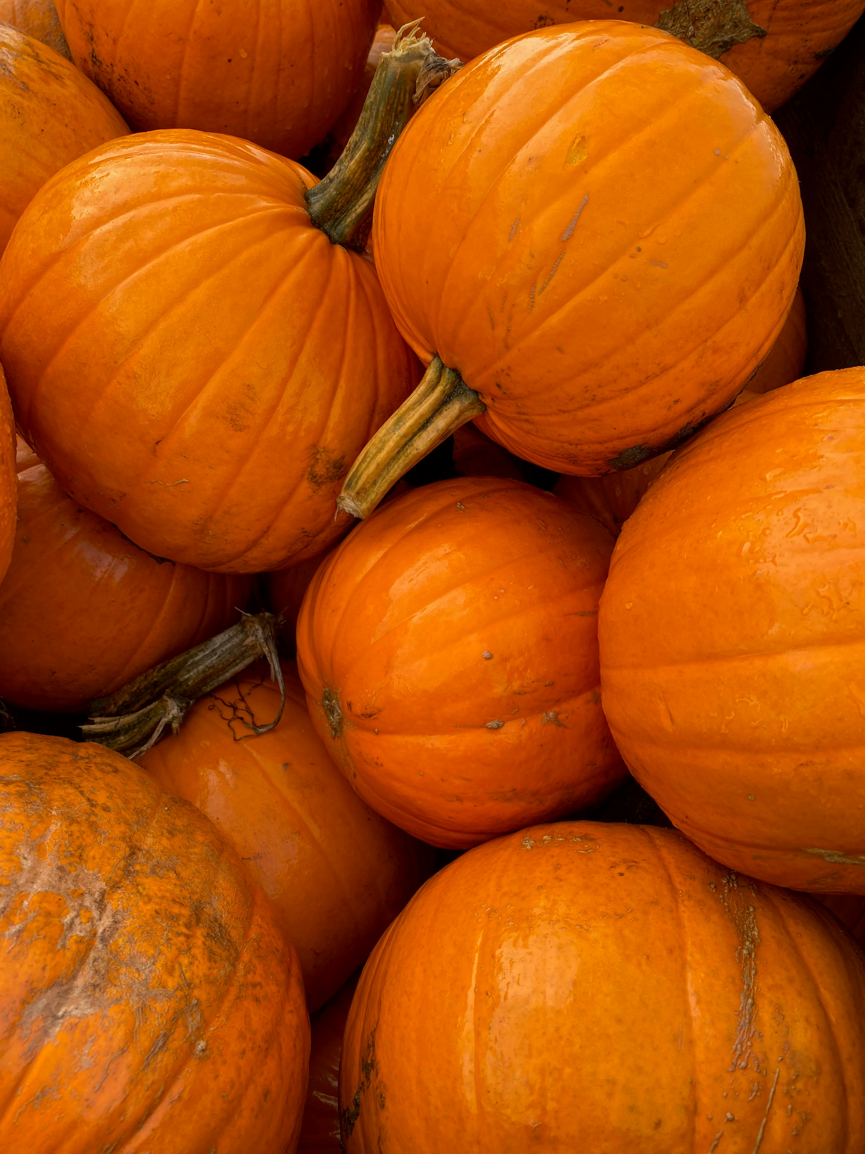 a pile of orange pumpkins sitting on top of each other