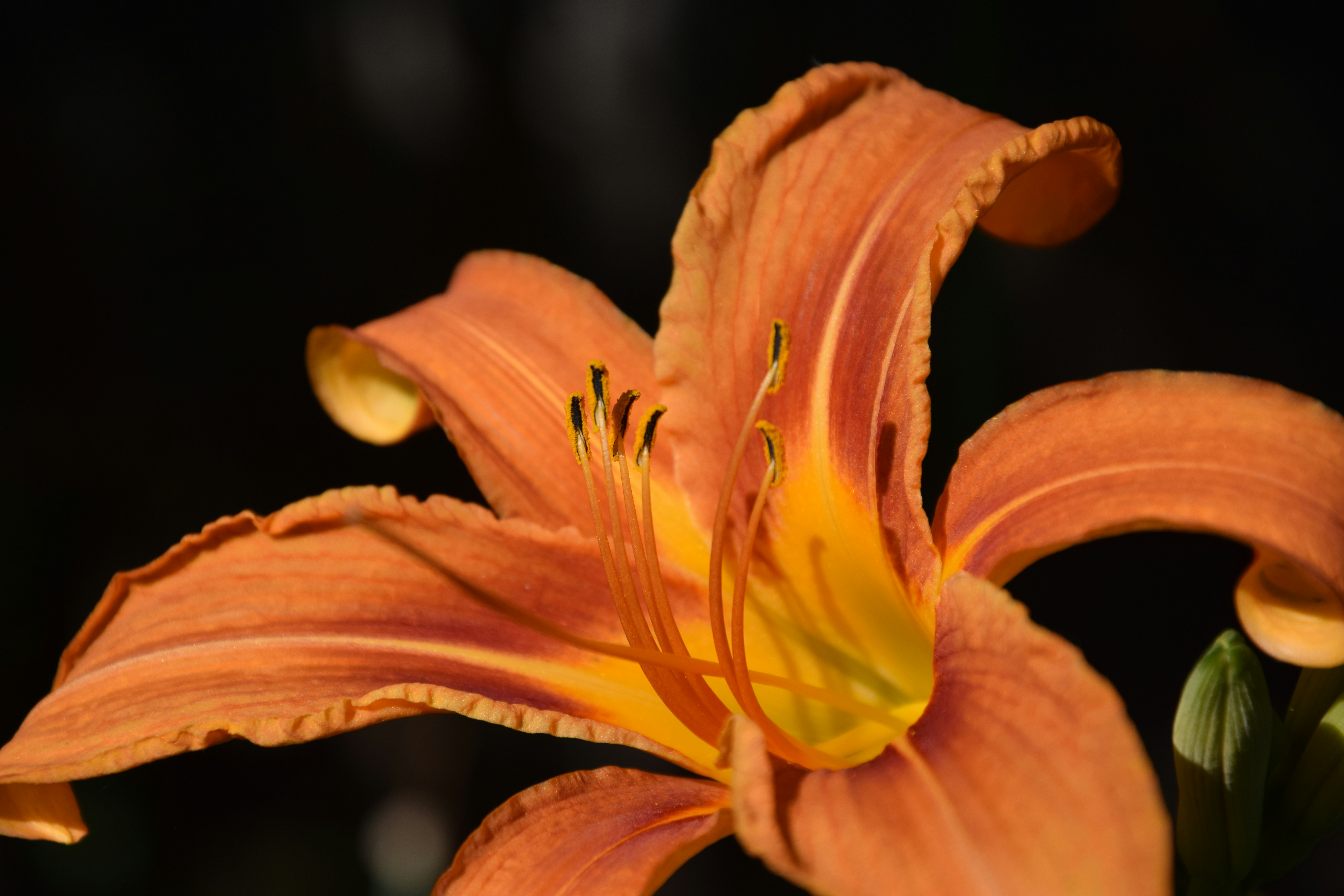 Photo by alexbc_photographer