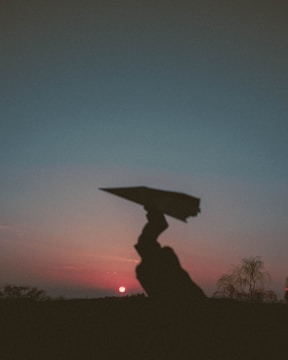 A silhouetted figure holds up a paper airplane against a vivid sunset. The sky transitions from shades of deep orange near the horizon to a soft teal higher up. A few trees and distant hills are visible, adding depth to the serene evening scene.