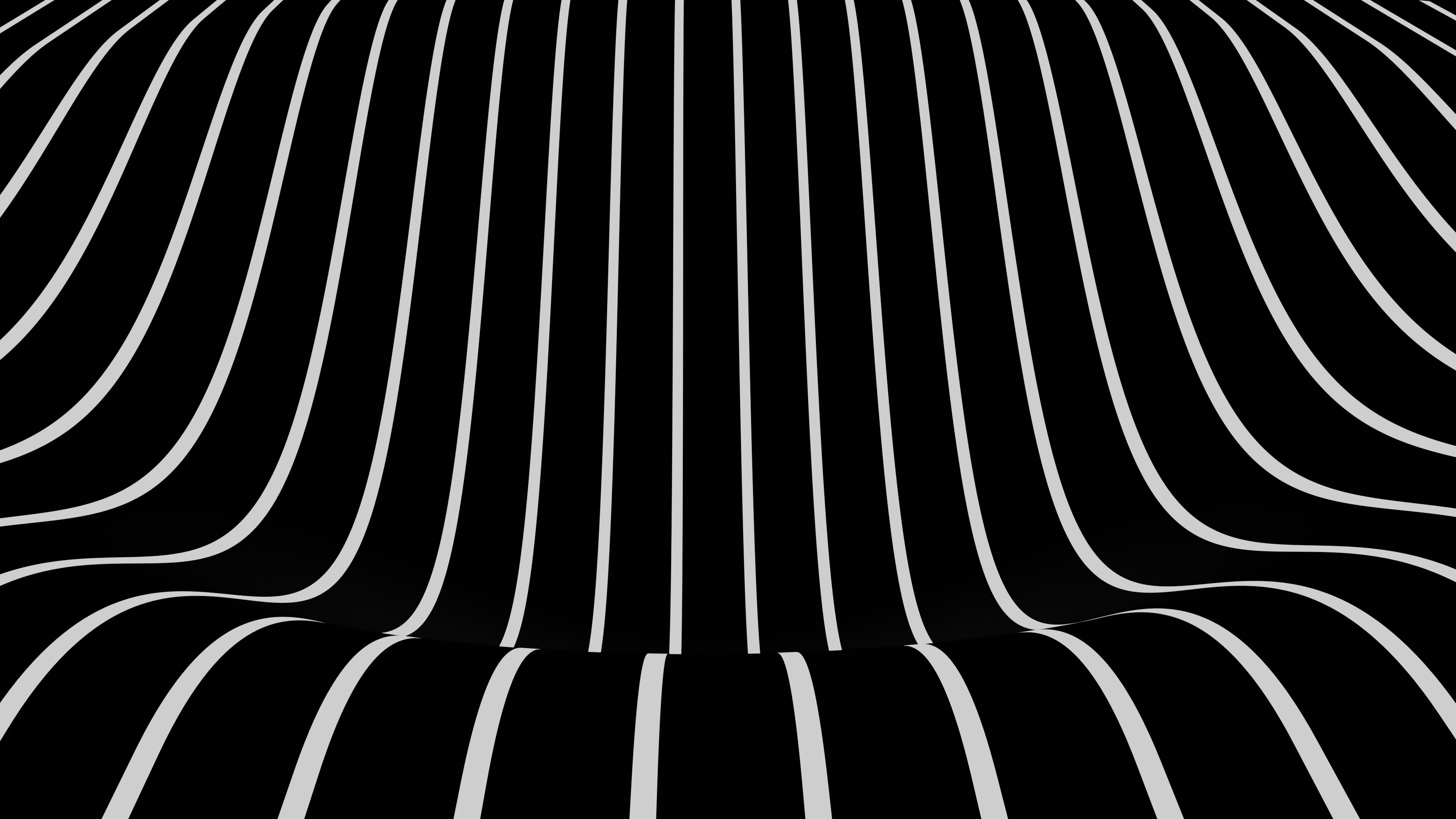 a black and white photo of lines and curves