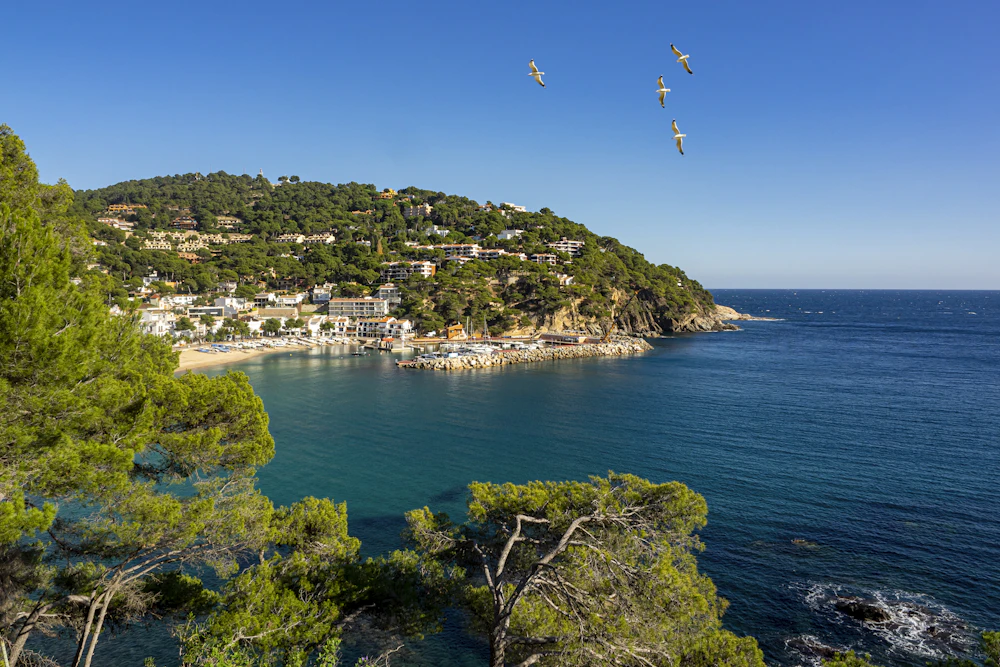 Crystal-clear coves and pine-fringed coastline of the Costa Brava in Catalonia