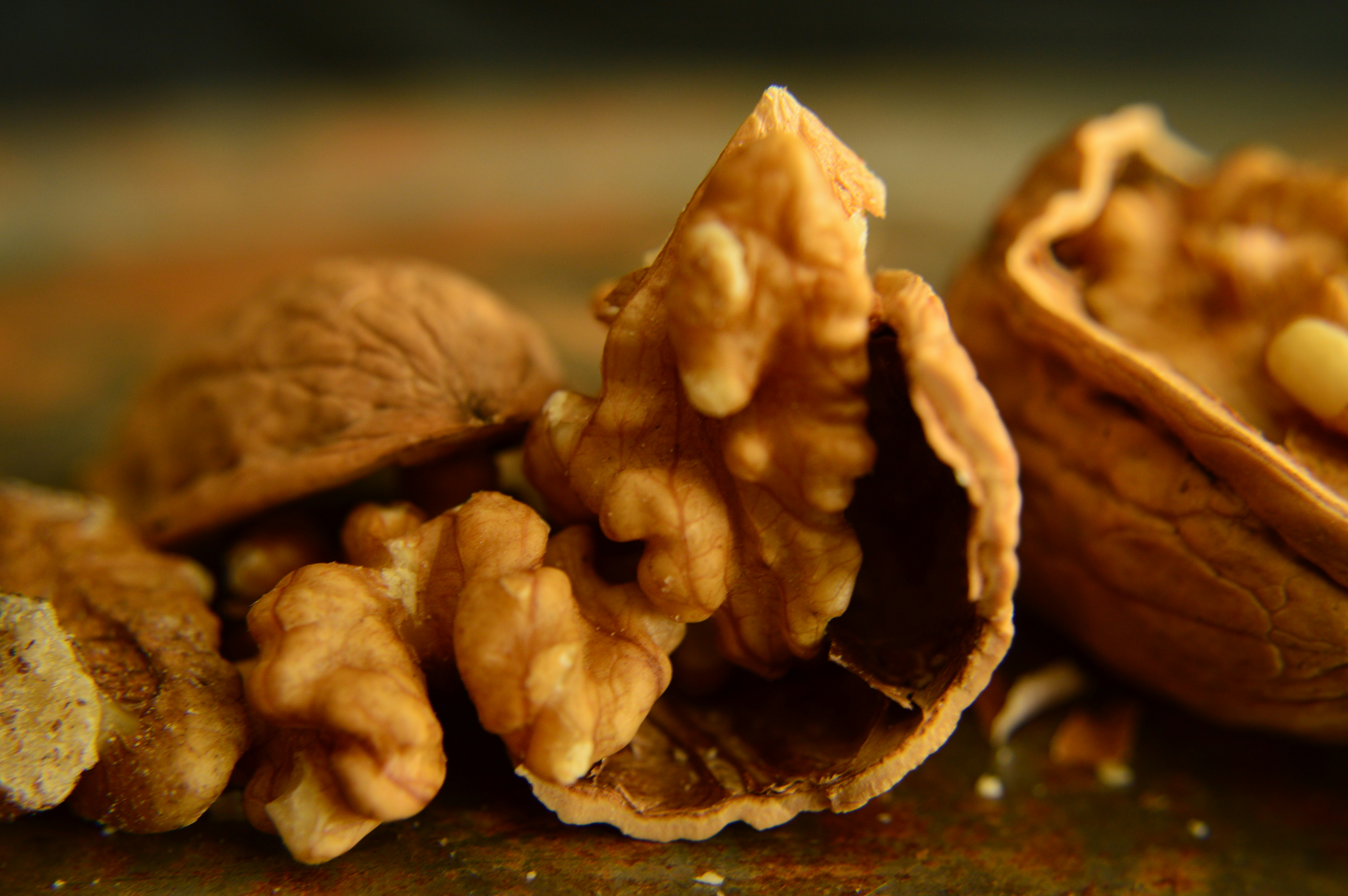 Photo by danielsphotograpic