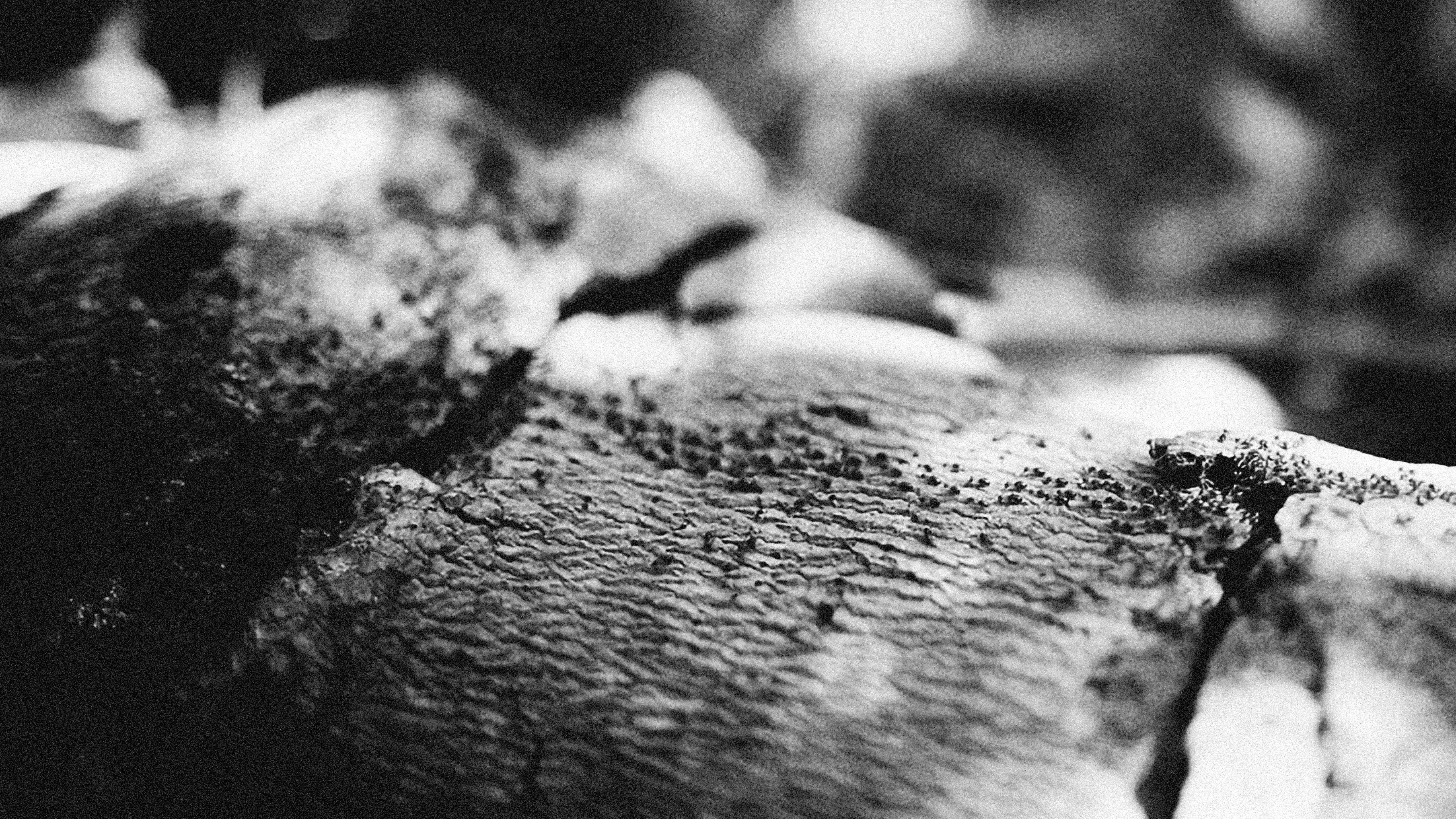 Photo by alexeydemidov