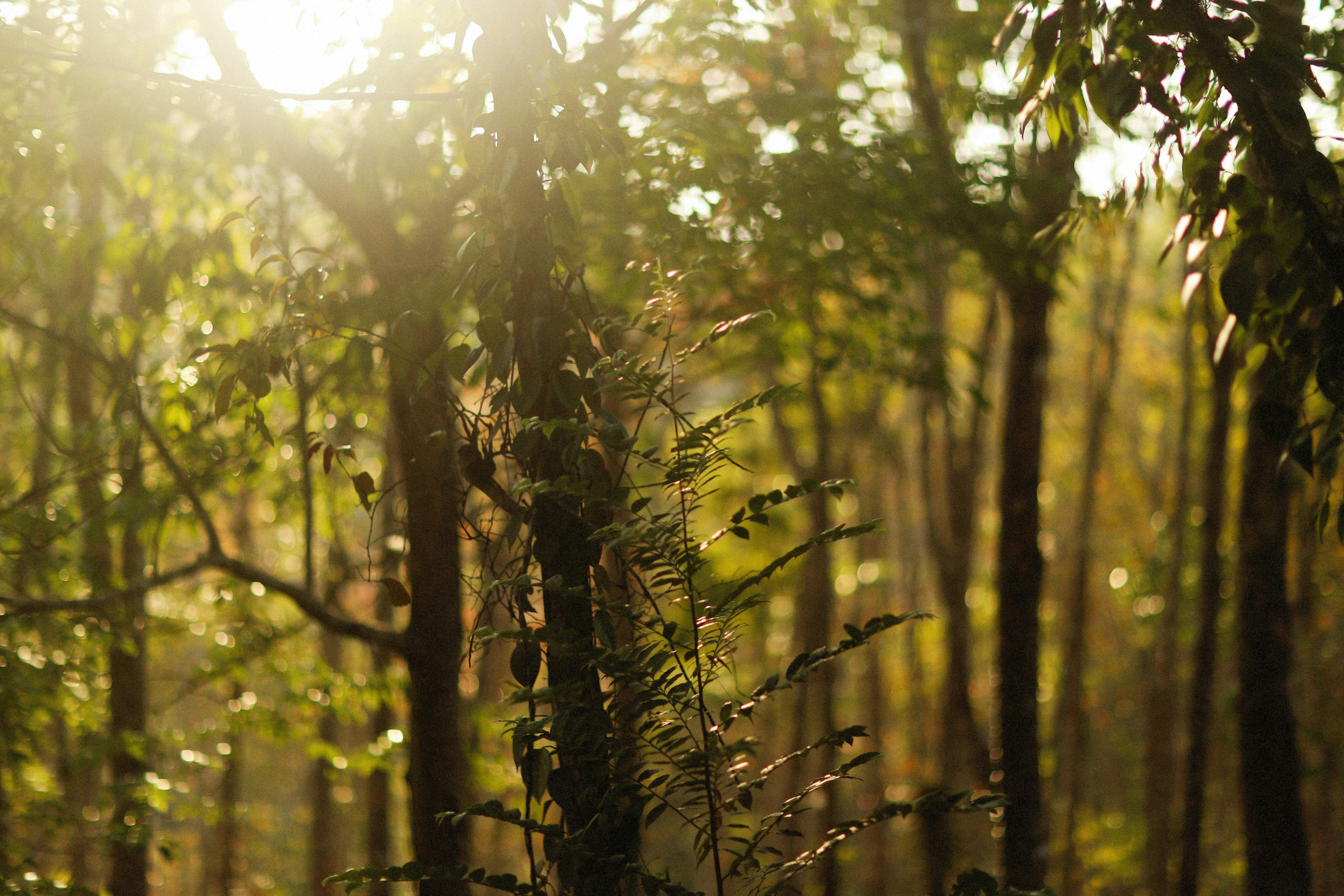 Photo by alexeydemidov