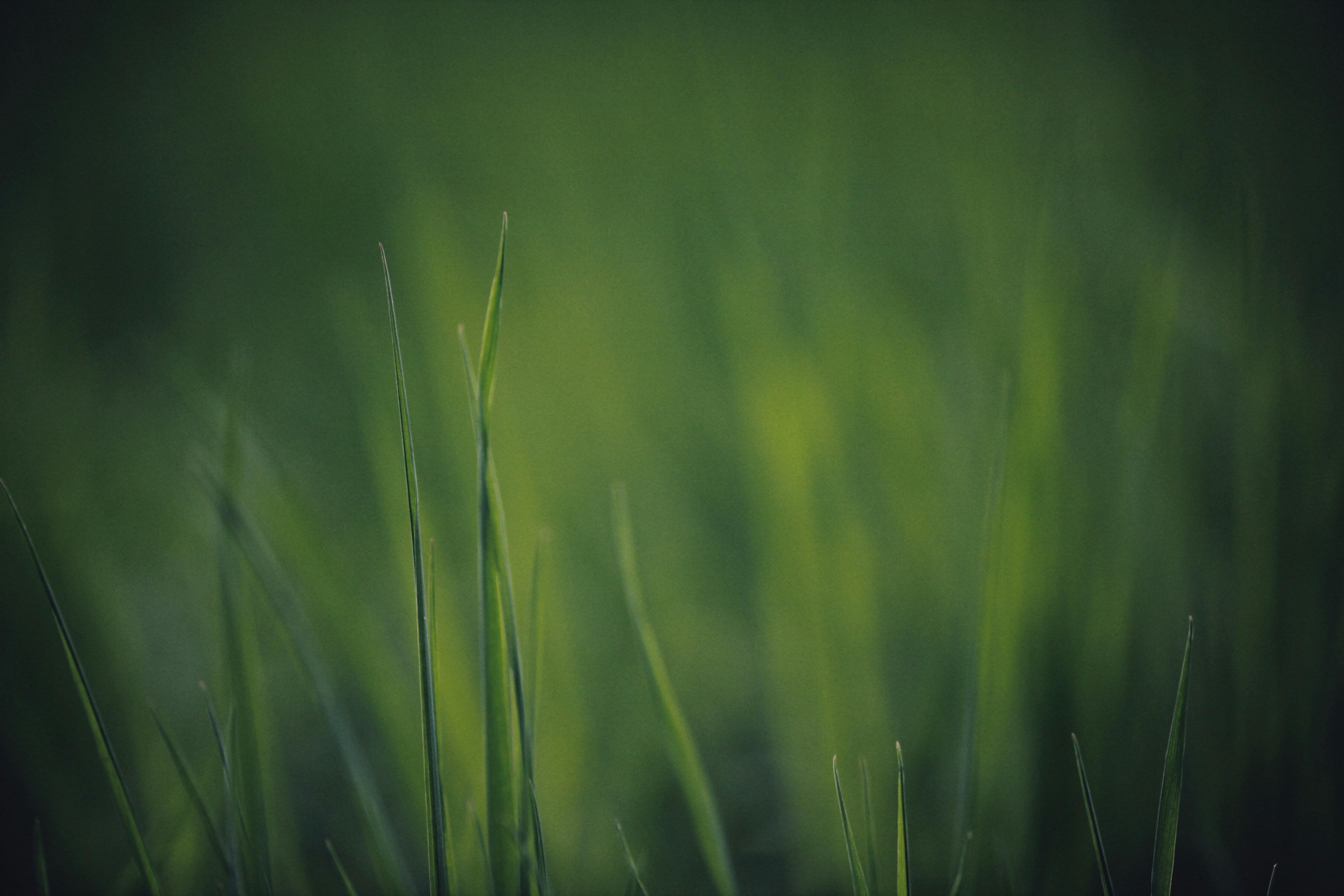 Photo by alexeydemidov