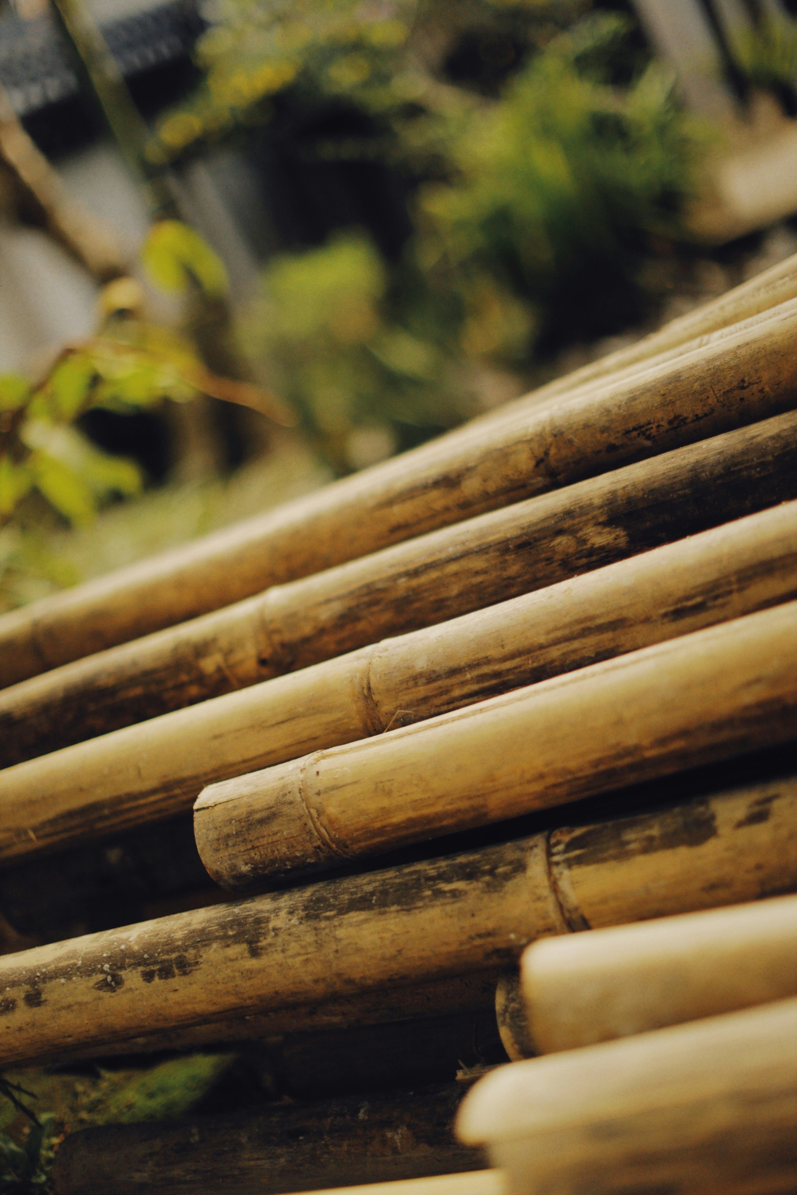 Photo by alexeydemidov