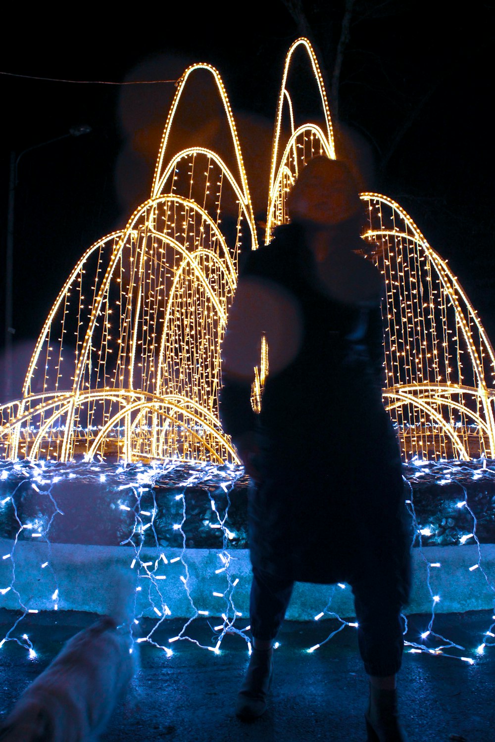 a woman standing in front of a fountain covered in lights