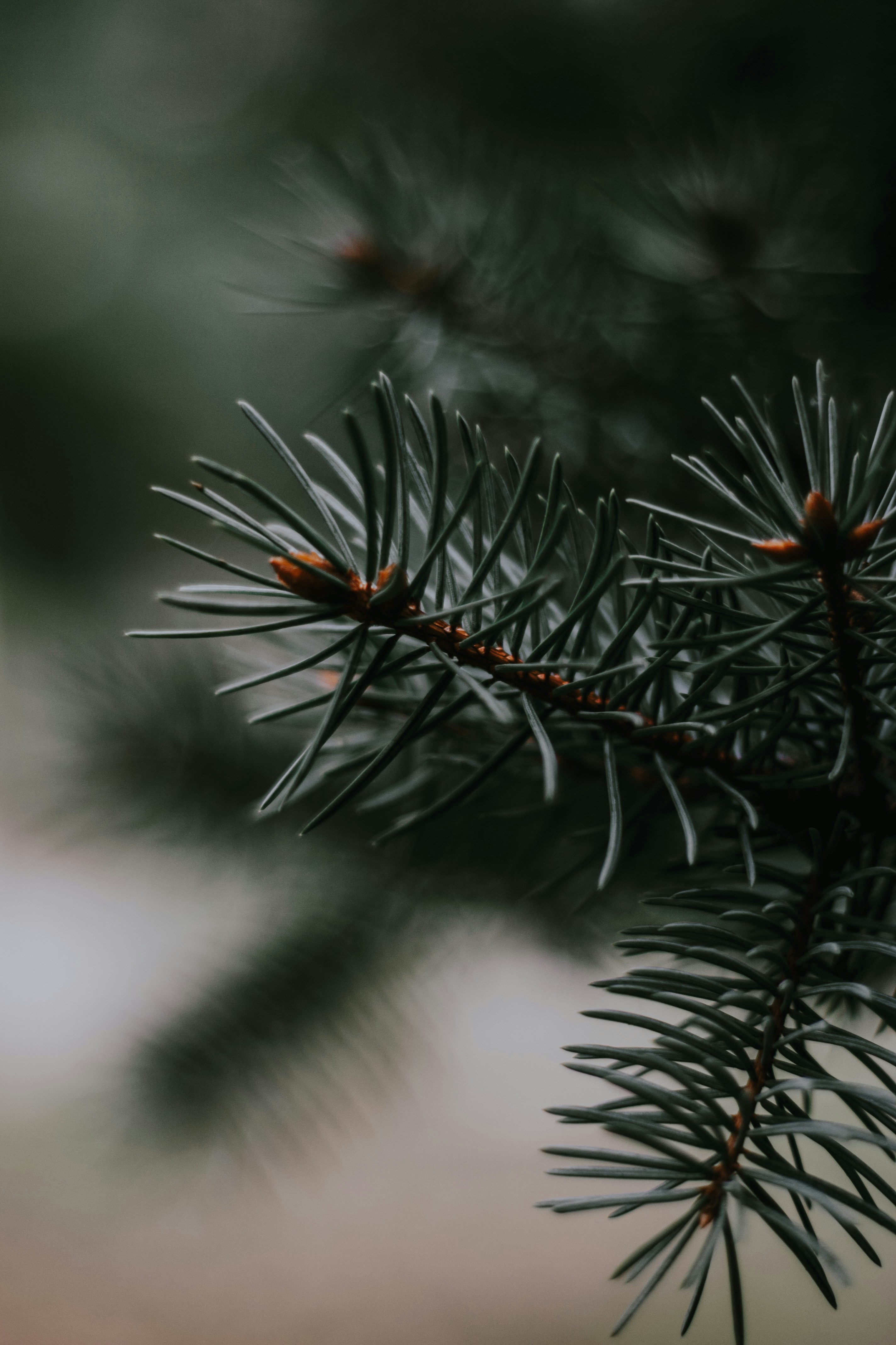 Photo by svitlana_rusak