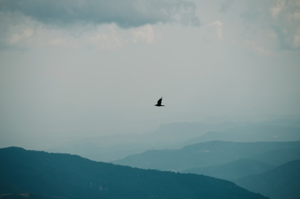 a bird flying over a mountain range under a cloudy sky