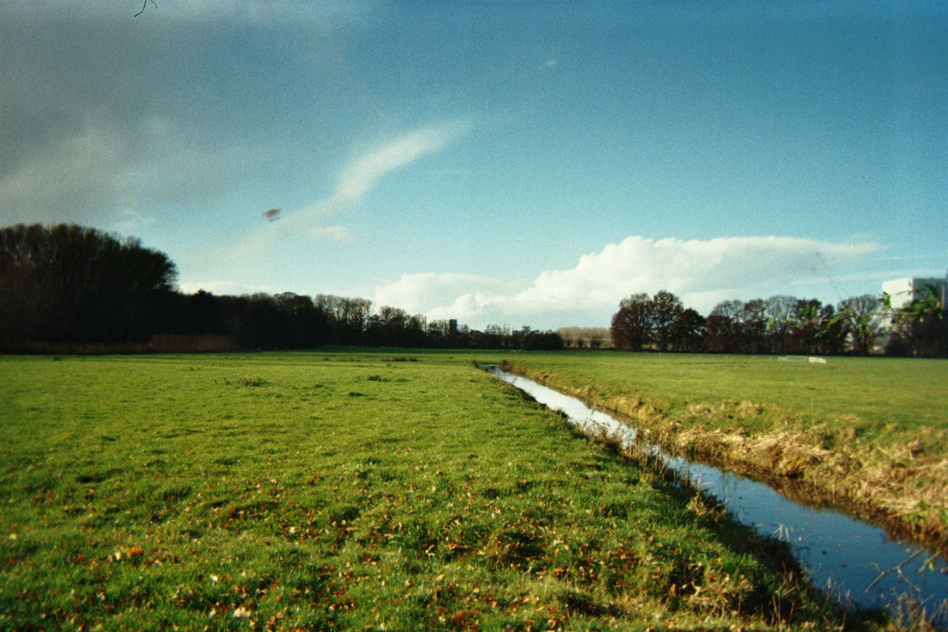 a grassy field with a stream running through it