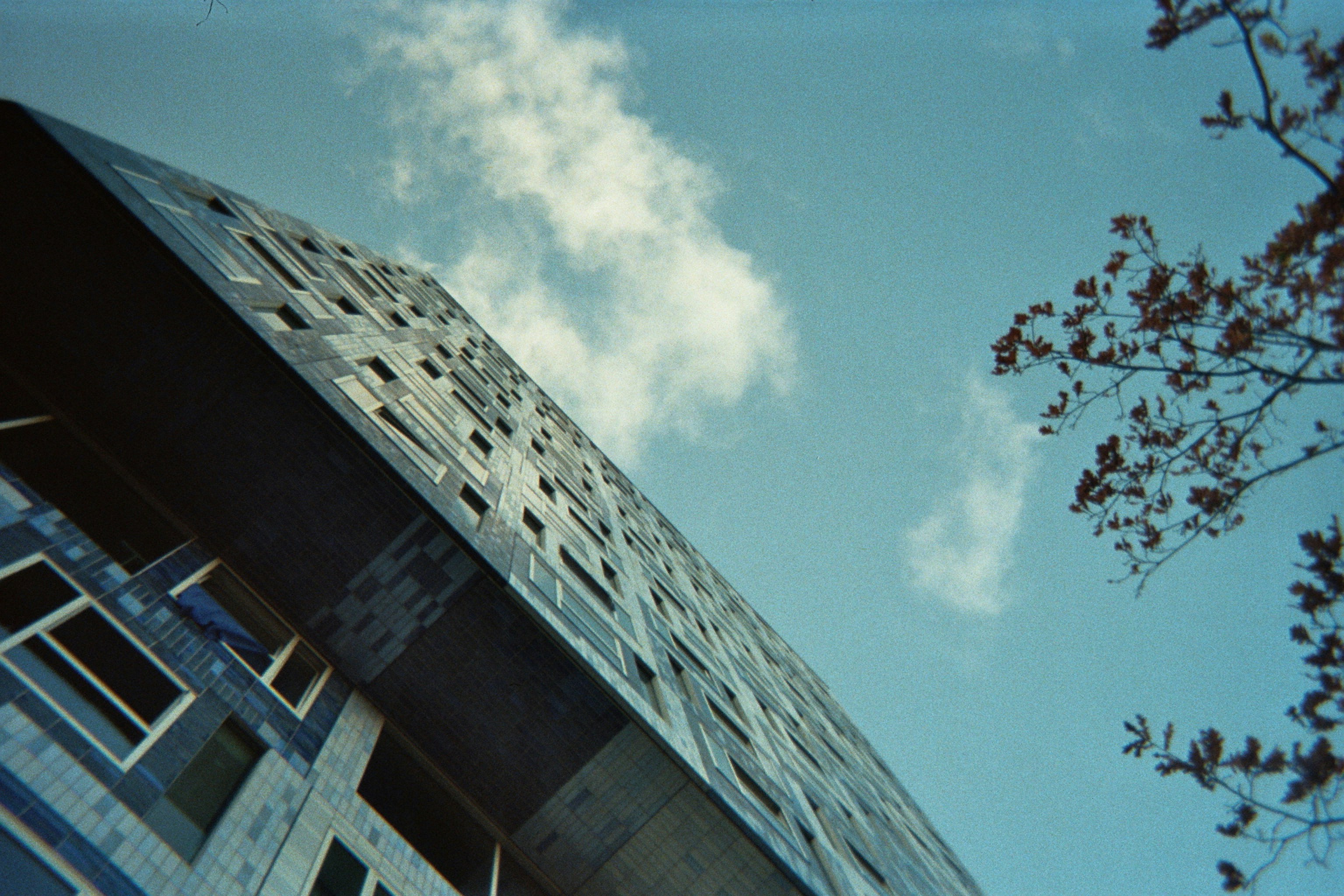 Photo by teobadini