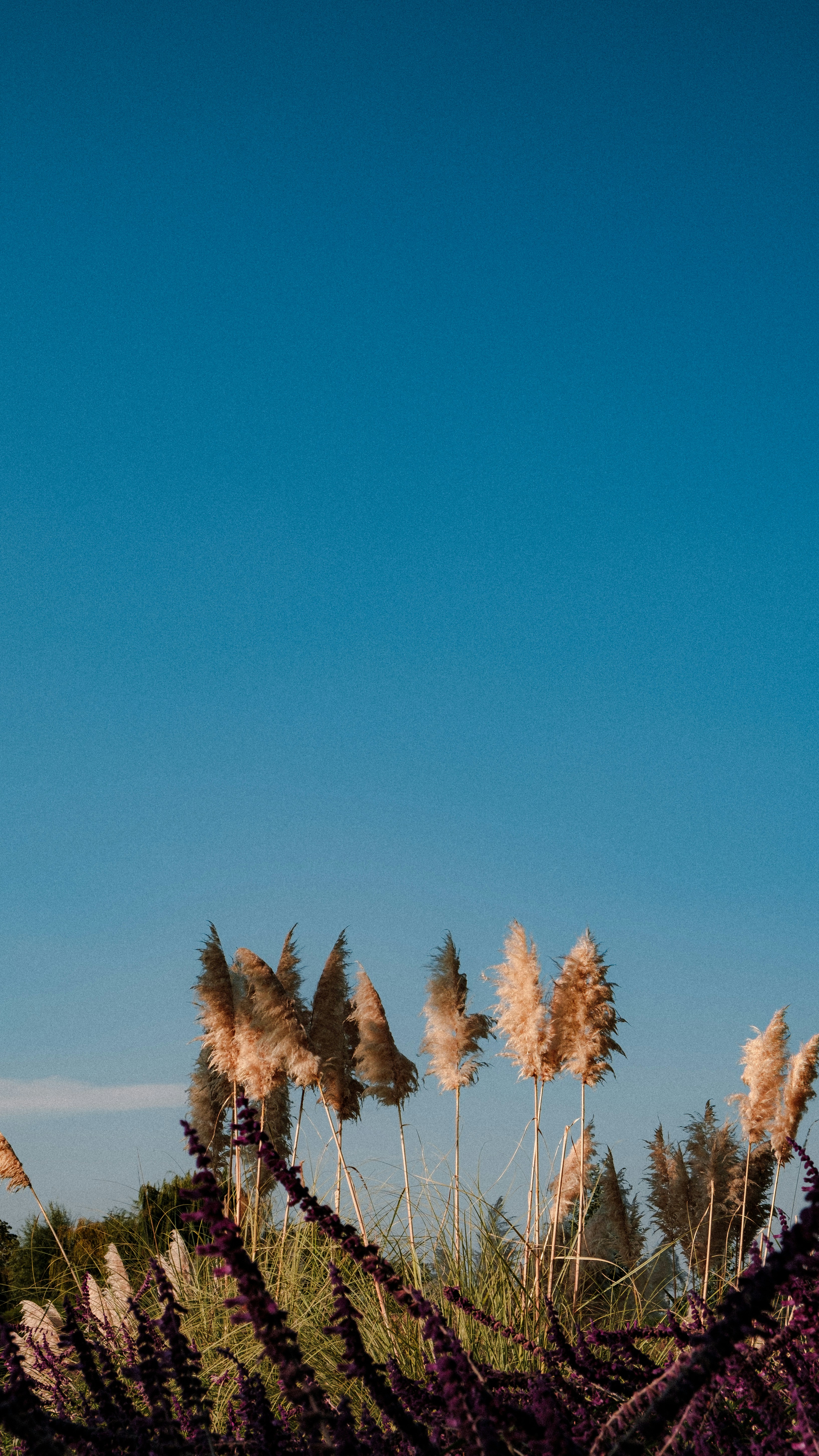 Photo by xiexianghua