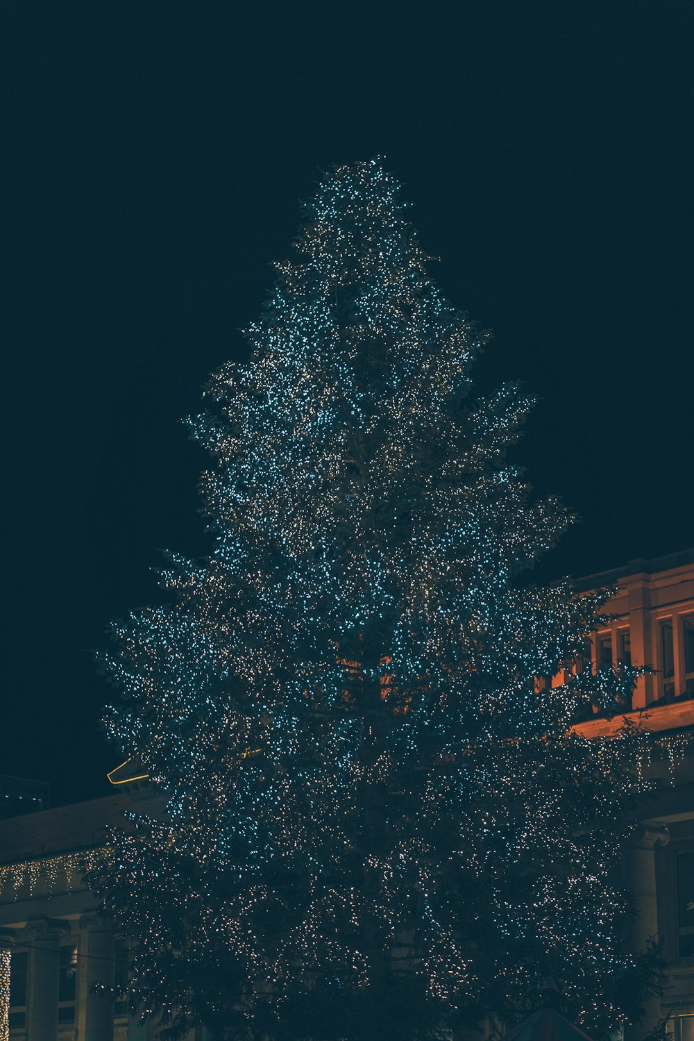 a large blue christmas tree in front of a building