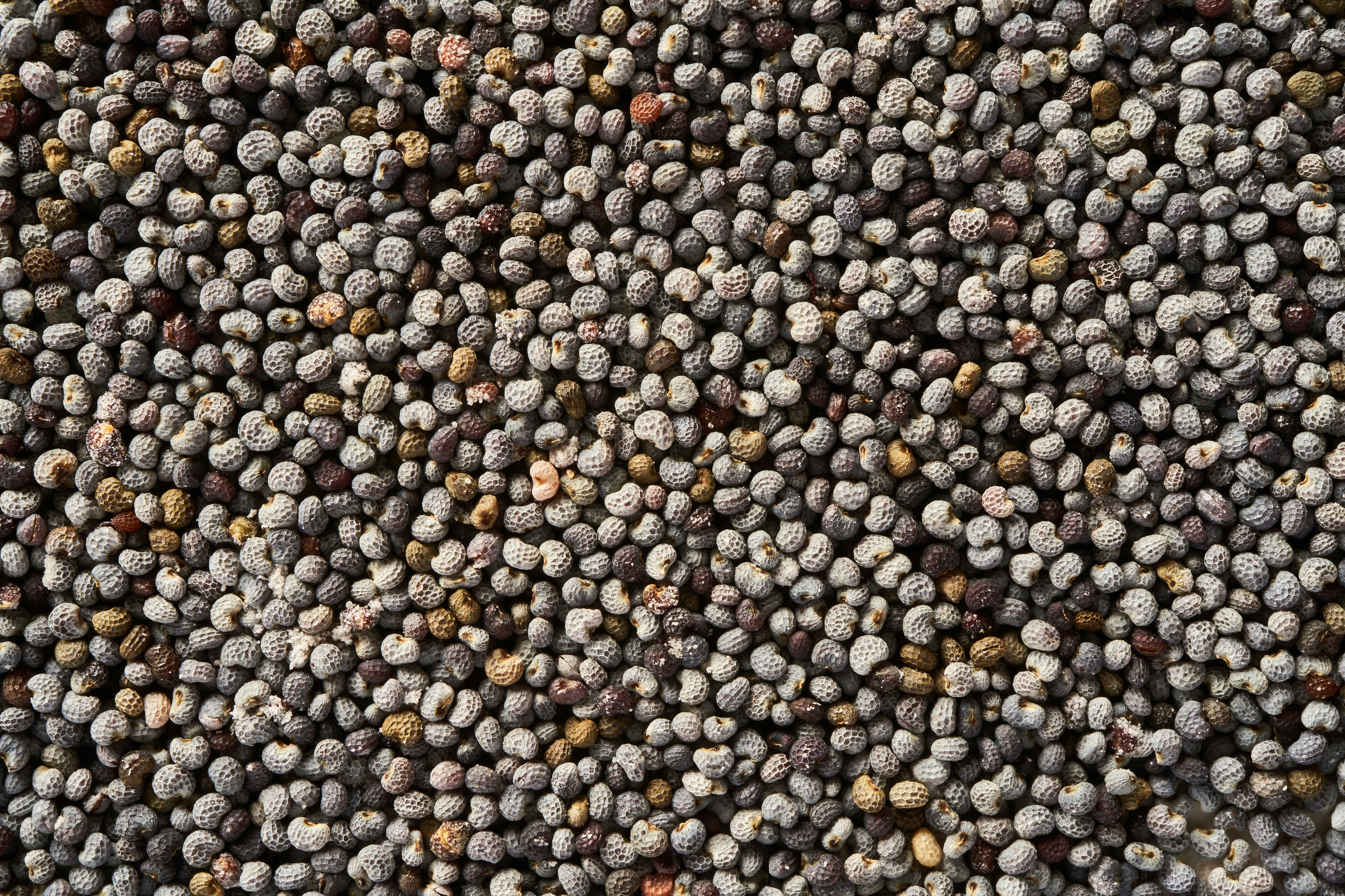 Photo by wolfgang_hasselmann