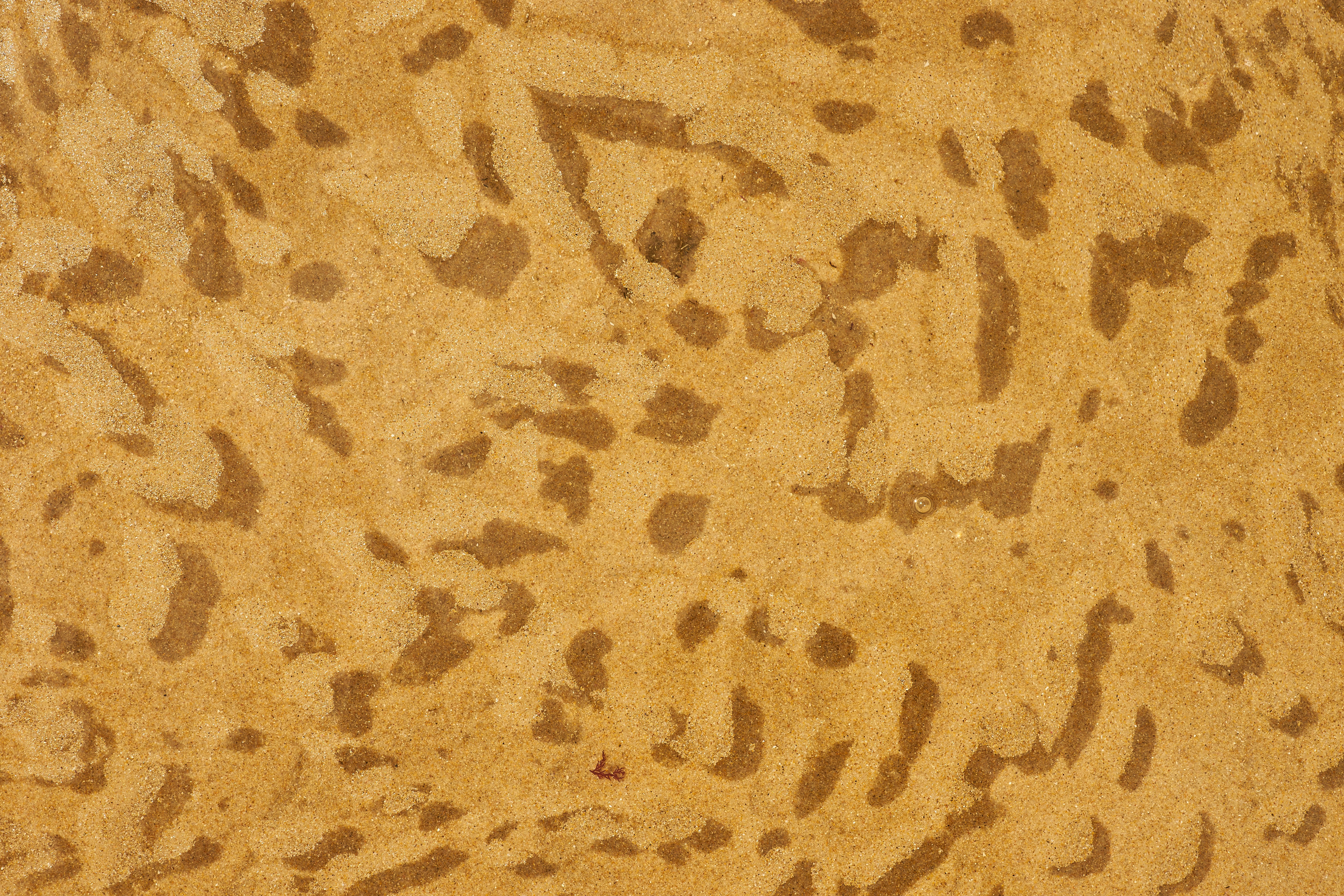 Photo by wolfgang_hasselmann