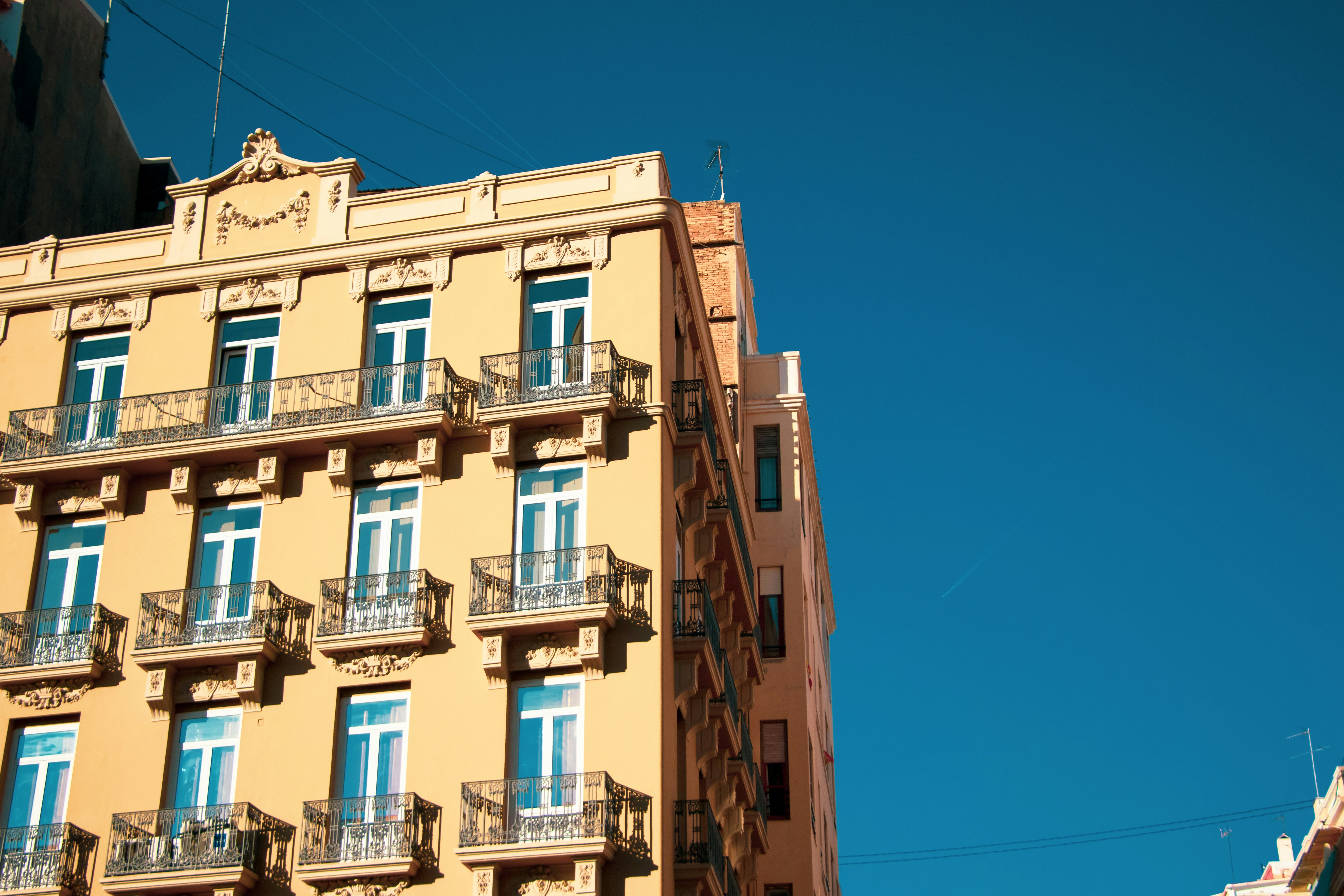 Photo by mxvandeberge