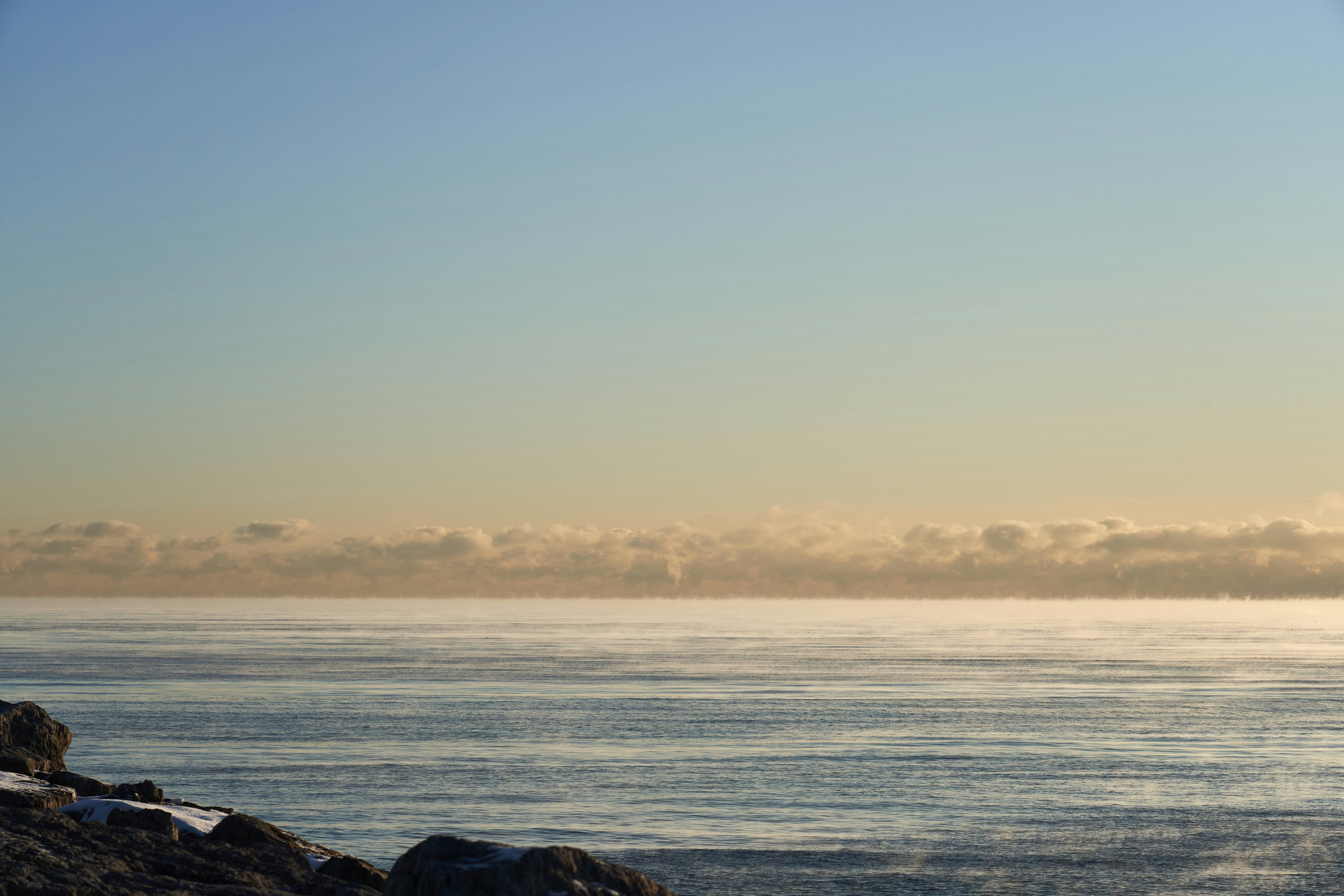 Photo by wolfgang_hasselmann