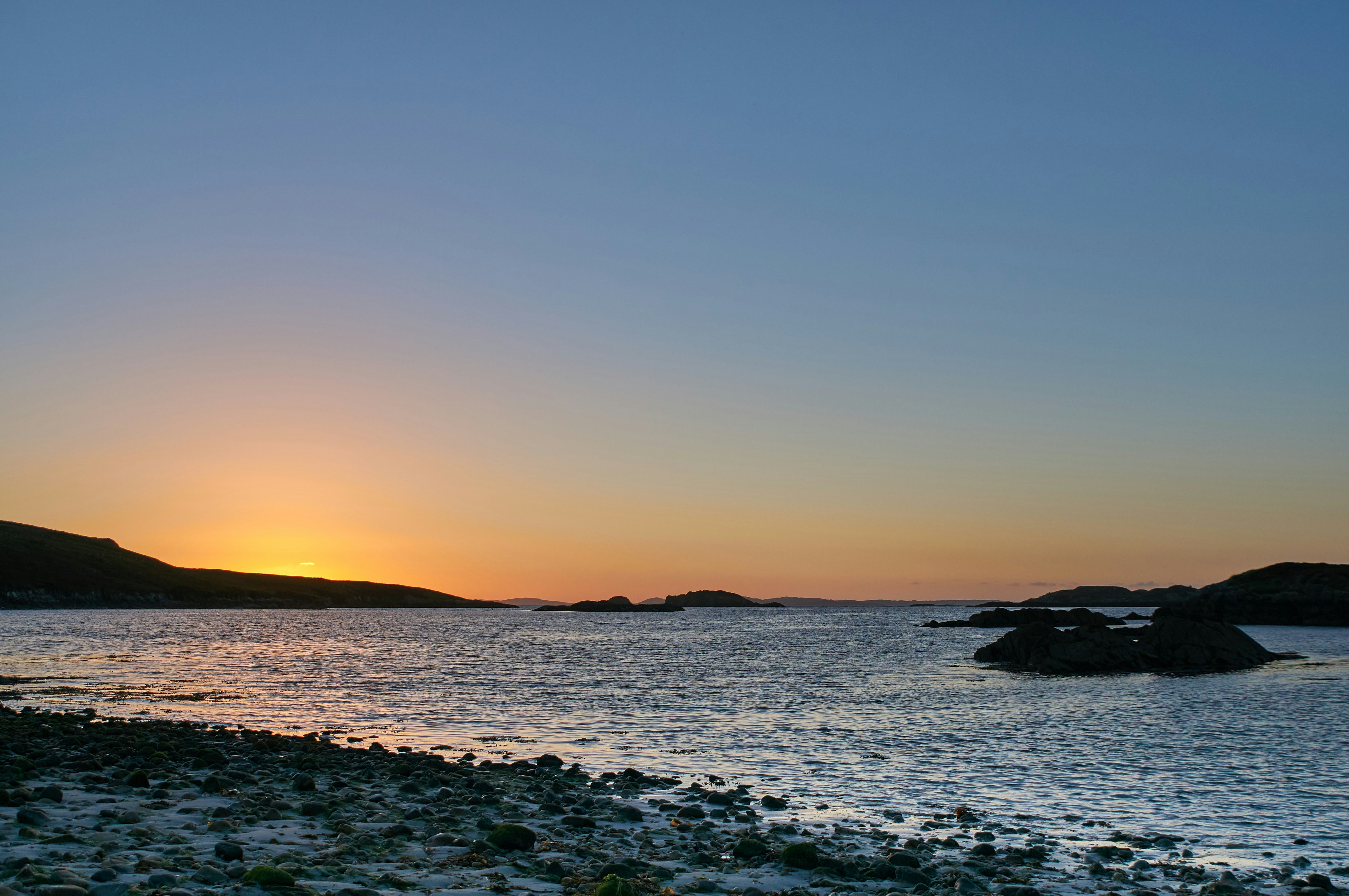 Photo by wolfgang_hasselmann