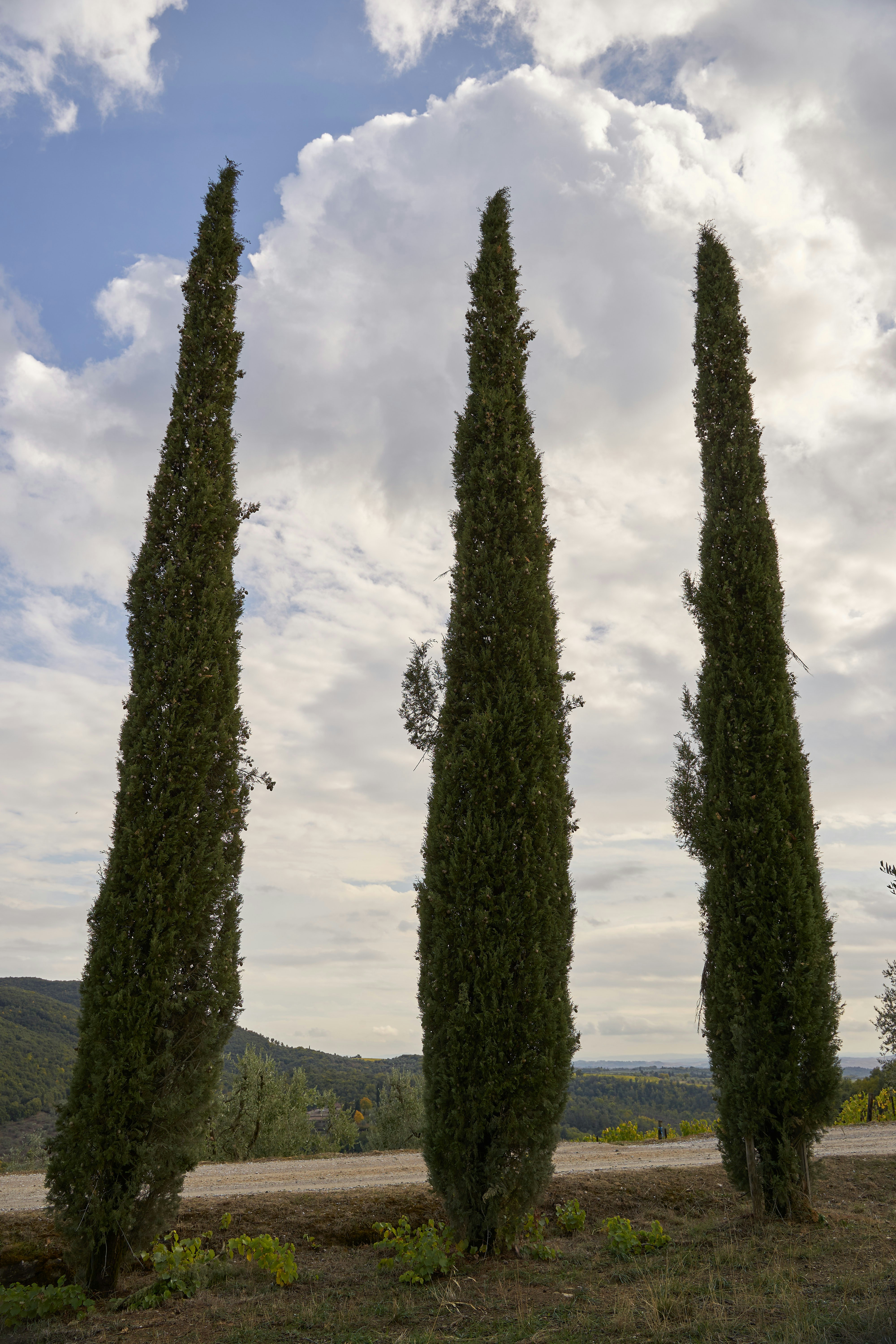 Photo by wolfgang_hasselmann