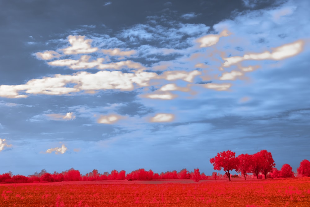 a field with trees and clouds in the sky