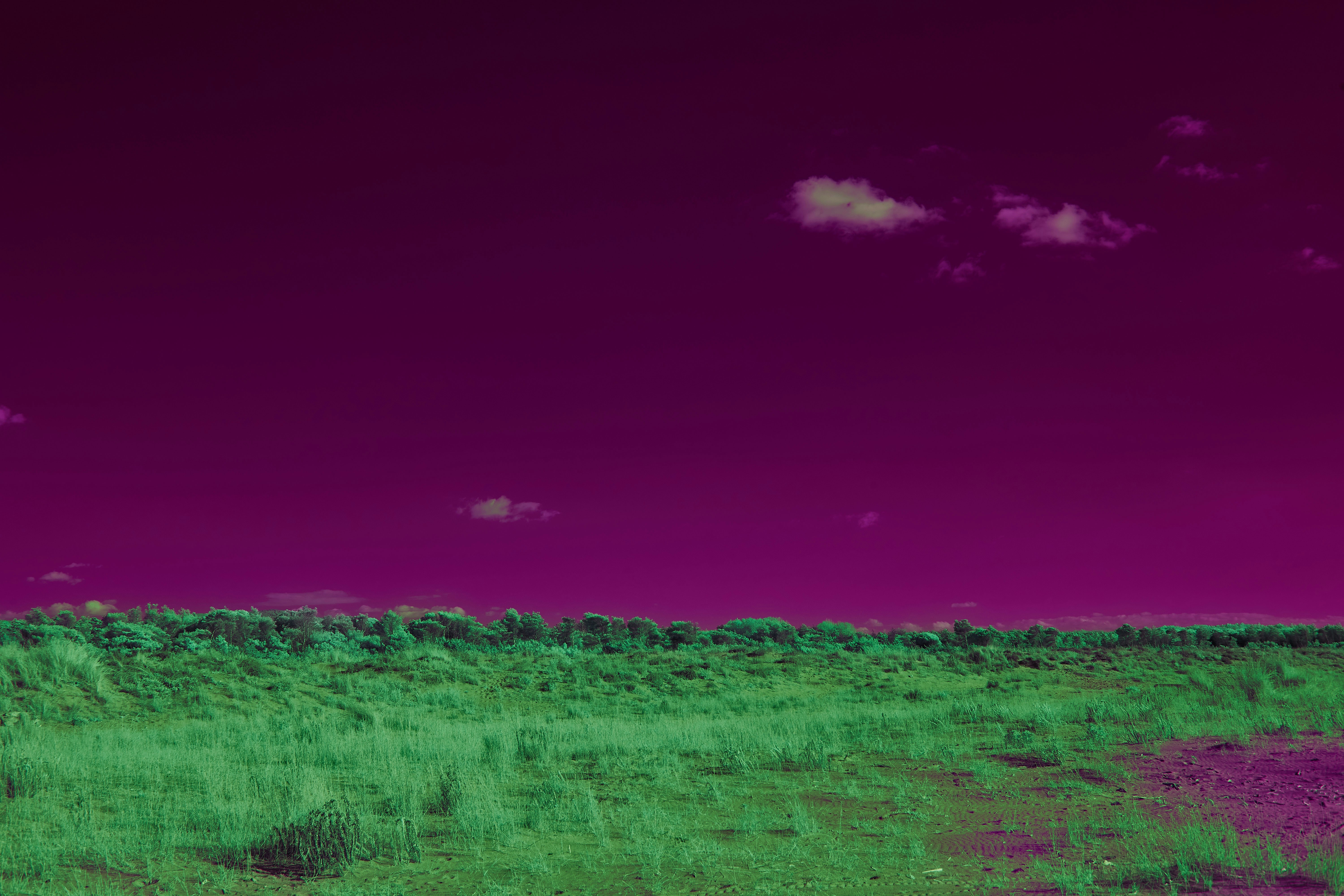 Photo by wolfgang_hasselmann