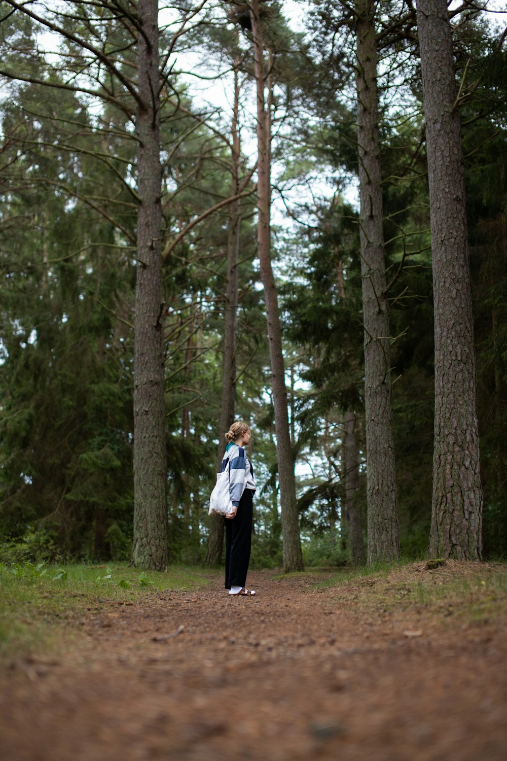 a person standing in the middle of a forest