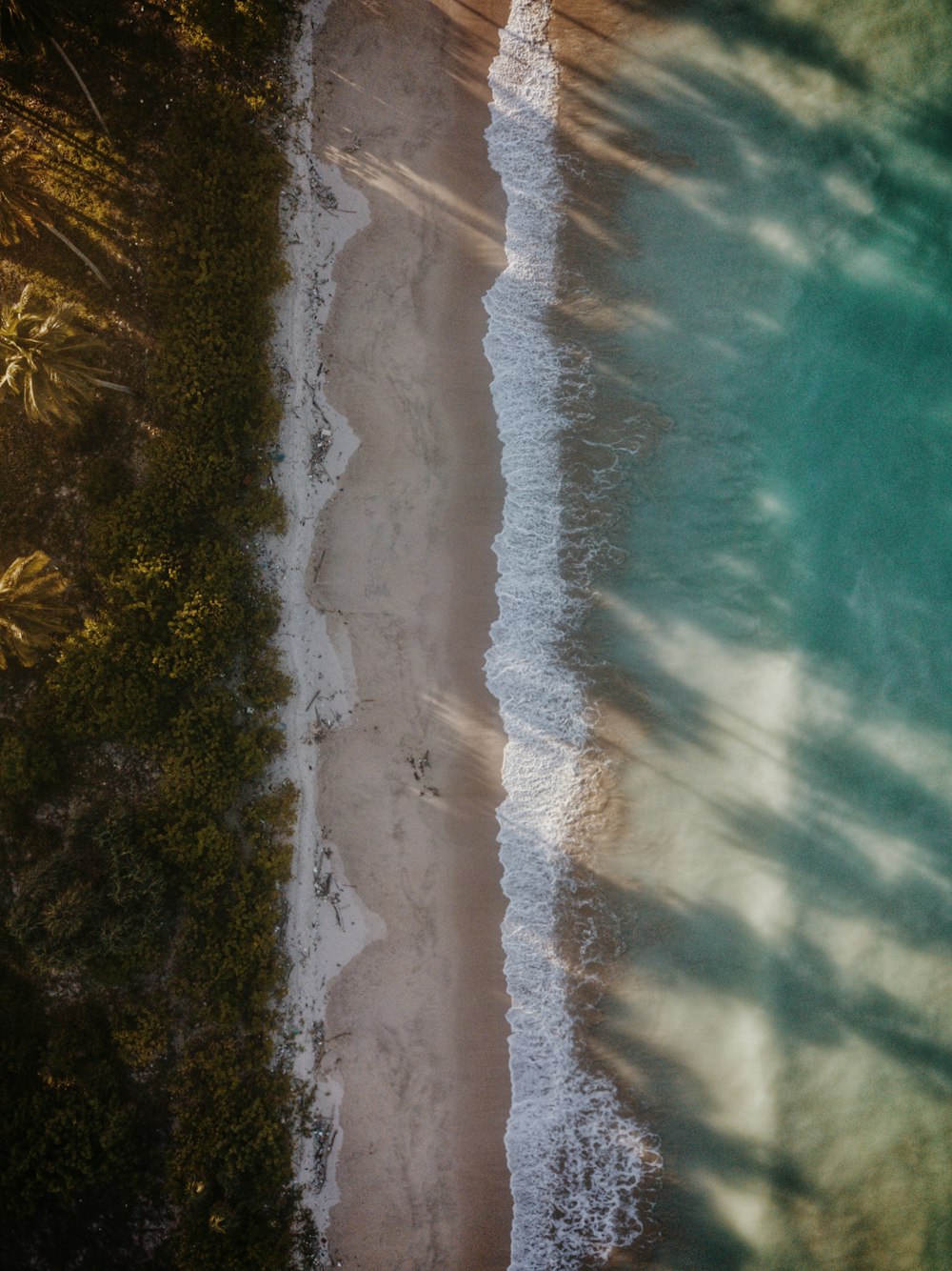 an aerial view of a sandy beach and a body of water