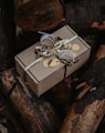 a wrapped present box sitting on top of a pile of logs