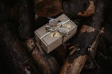 a wrapped present box sitting on top of a pile of logs